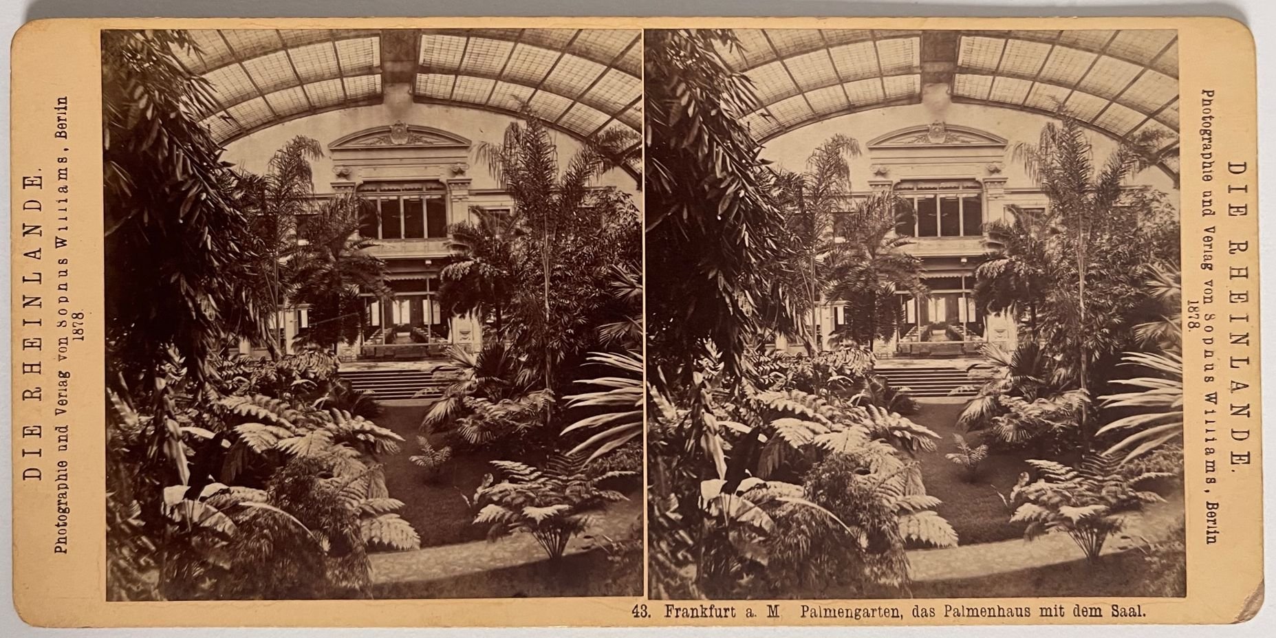 Frankfurt, Nr. 43, Palmengarten, das Palmenhaus mit dem Saal, 1878 (Taunus-Rhein-Main - Regionalgeschichtliche Sammlung Dr. Stefan Naas CC BY-NC-SA)