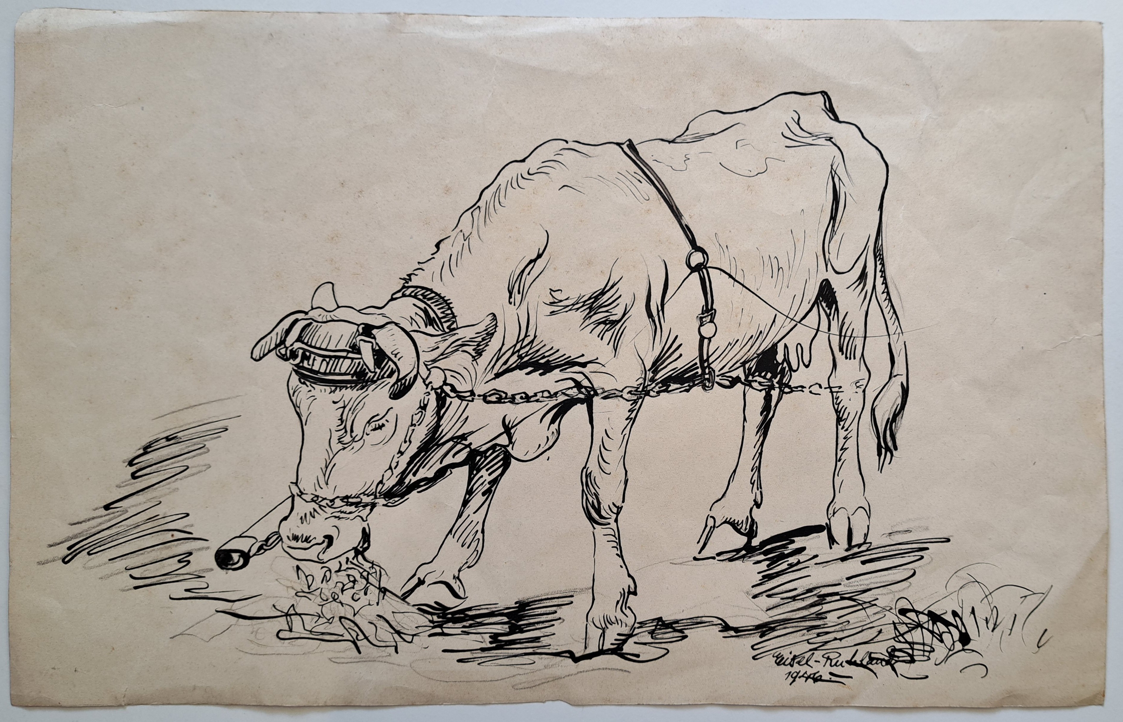 Zeichnung einer Kuh (Museum der Stadt Eschborn CC BY-NC-SA)
