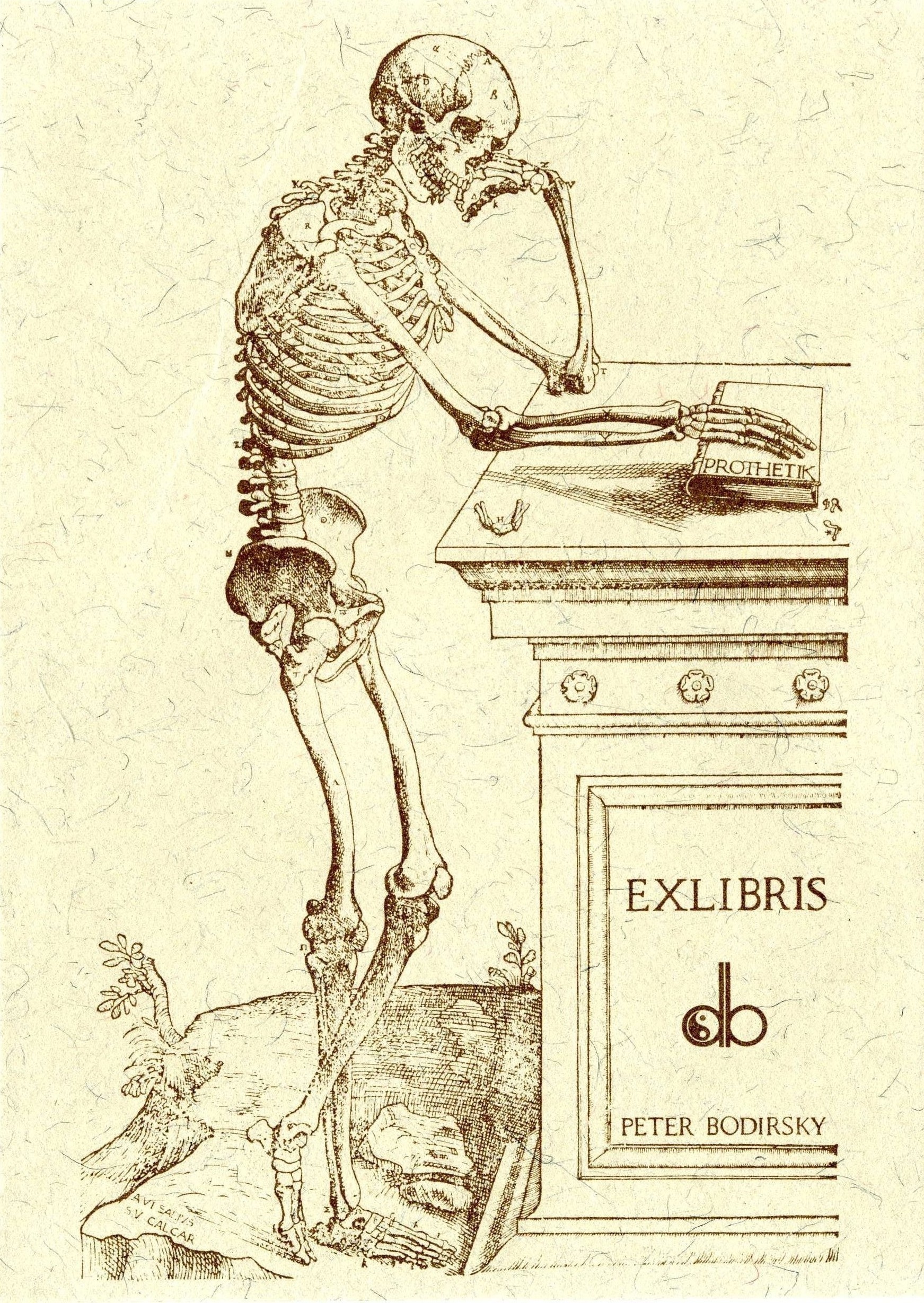 Exlibris "db" (Peter Bodirsky) (Museum für Sepulkralkultur CC BY-NC-SA)