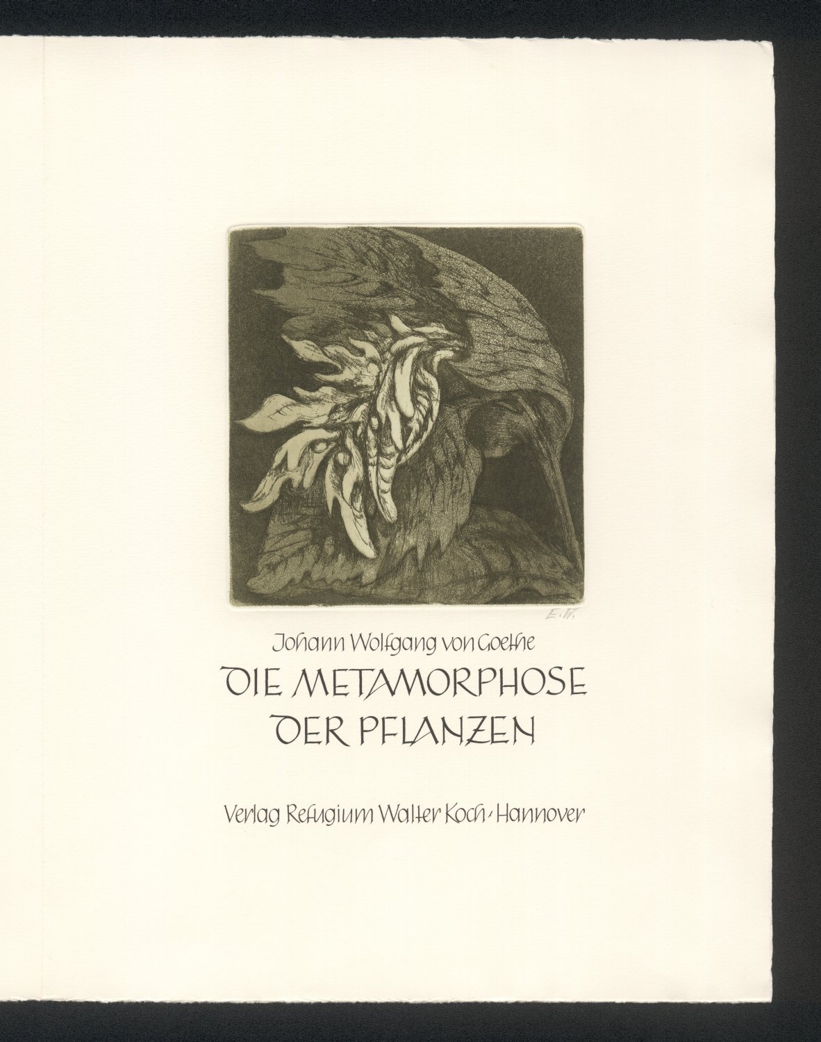 Titelblatt: Beflügelte Samen (Freies Deutsches Hochstift / Frankfurter Goethe-Museum * Michael Wolfhagen RR-F)