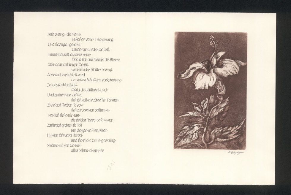 Hohe Zeit der Blüte. 5. Bogen (Freies Deutsches Hochstift / Frankfurter Goethe-Museum * Michael Wolfhagen RR-F)