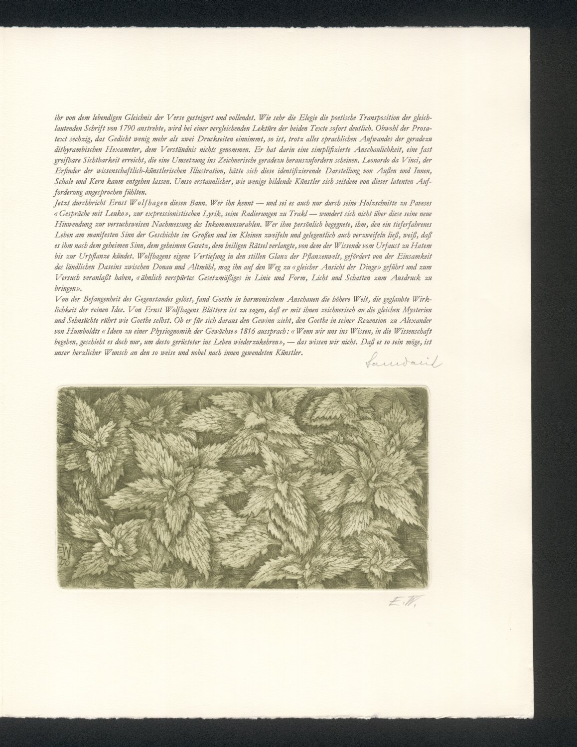 Blattmosaik. Schlussillustration des Begleitworts (Freies Deutsches Hochstift / Frankfurter Goethe-Museum * Michael Wolfhagen RR-F)