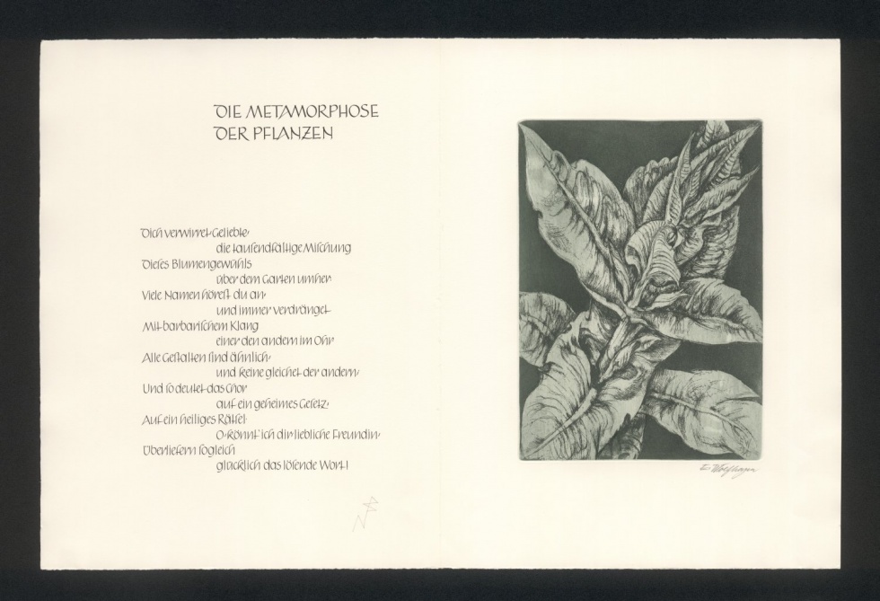 Machtvolle Blätter. 1. Bogen (Freies Deutsches Hochstift / Frankfurter Goethe-Museum * Michael Wolfhagen RR-F)