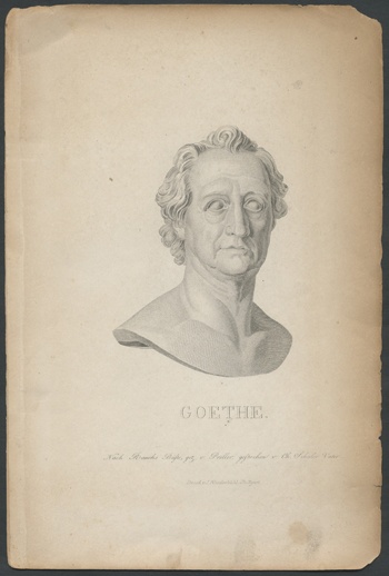 - Goethe. Nach Rauchs Büste gezeichnetPorträtbüste Goethes (Freies Deutsches Hochstift / Frankfurter Goethe-Museum CC BY-NC-SA)