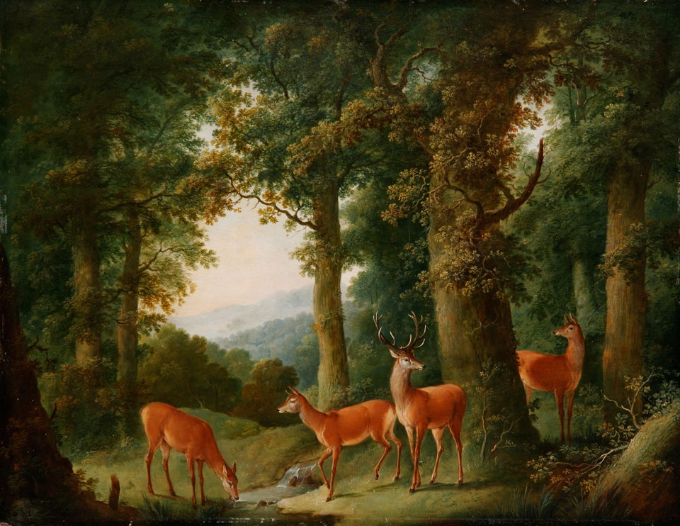 Waldlandschaft mit Rotwild (Freies Deutsches Hochstift / Frankfurter Goethe-Museum RR-F)