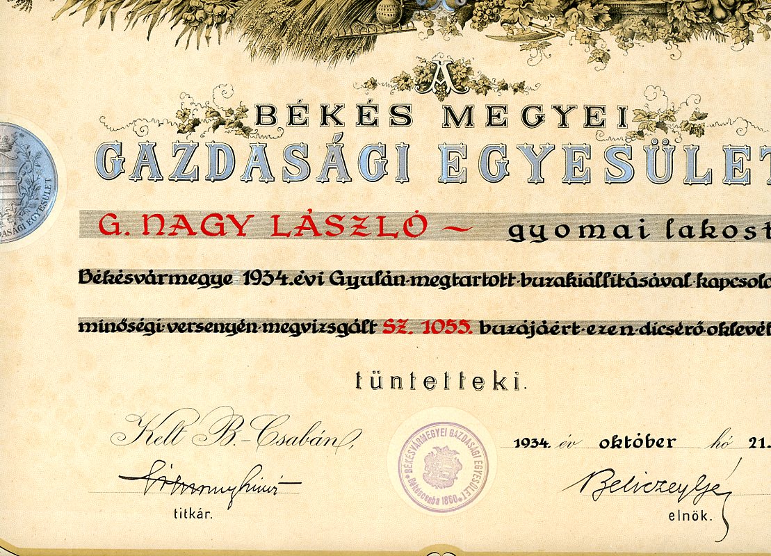 Oklevél (Erkel Ferenc Múzeum CC BY-NC-SA)