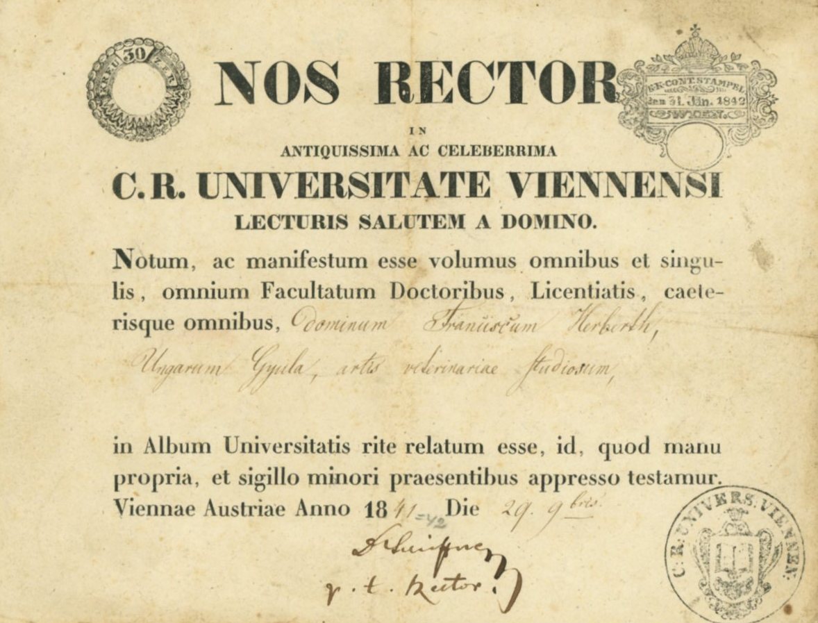Diploma (Erkel Ferenc Múzeum CC BY-NC-SA)