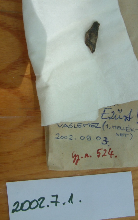 Ezüst(?) lemez (Erkel Ferenc Múzeum, Gyula CC BY-NC-SA)