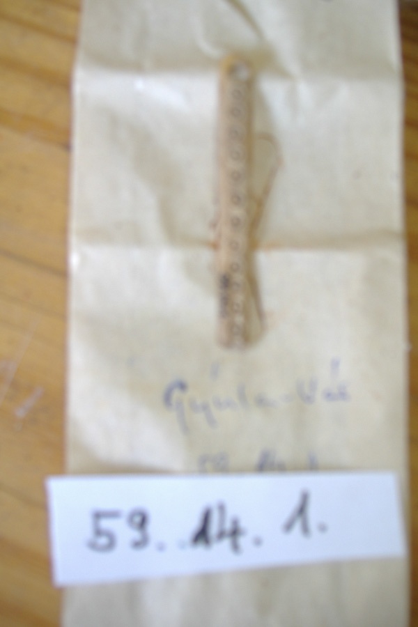 Csontpálcika töredéke (Erkel Ferenc Múzeum, Gyula CC BY-NC-SA)