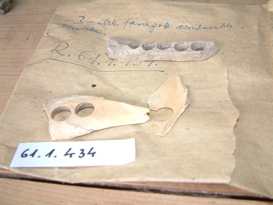 Csontfaragványok (Erkel Ferenc Múzeum, Gyula CC BY-NC-SA)