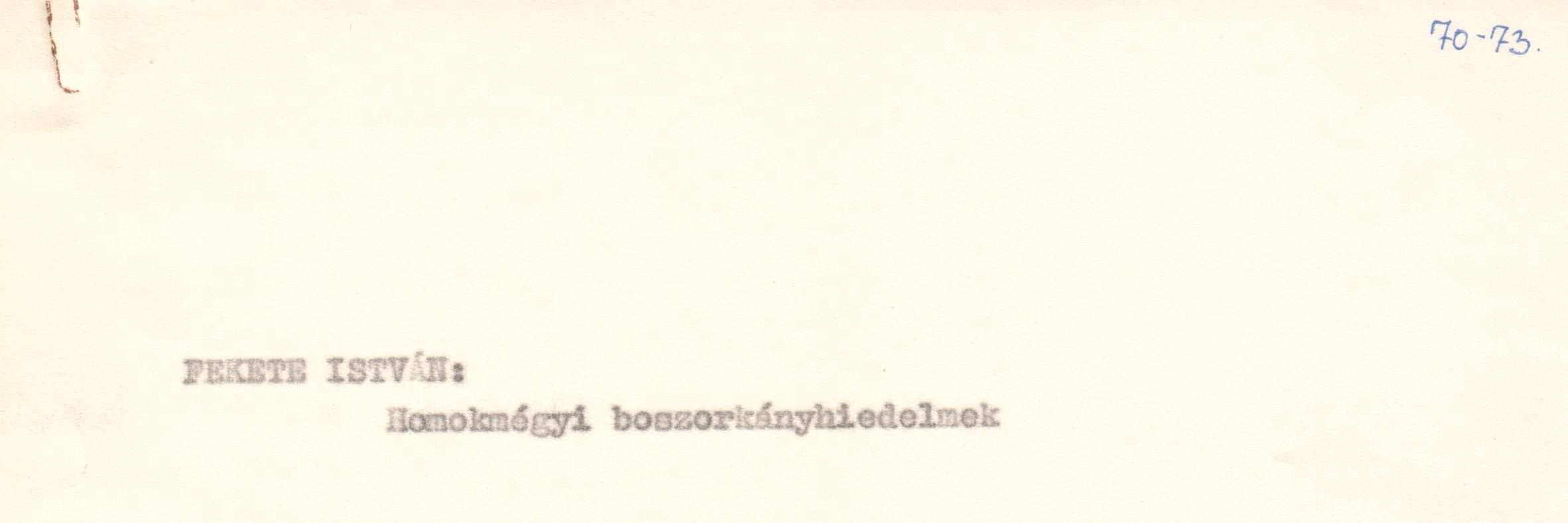 Homokmégyi boszorkányhiedelmek c. cikk kézirata (Viski Károly Múzeum Kalocsa RR-F)
