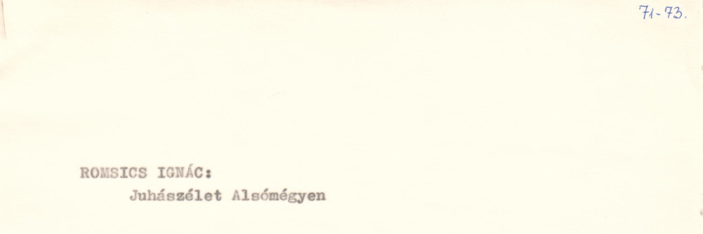 Juhászélet Alsómégyen c. cikk kézirata (Viski Károly Múzeum Kalocsa RR-F)