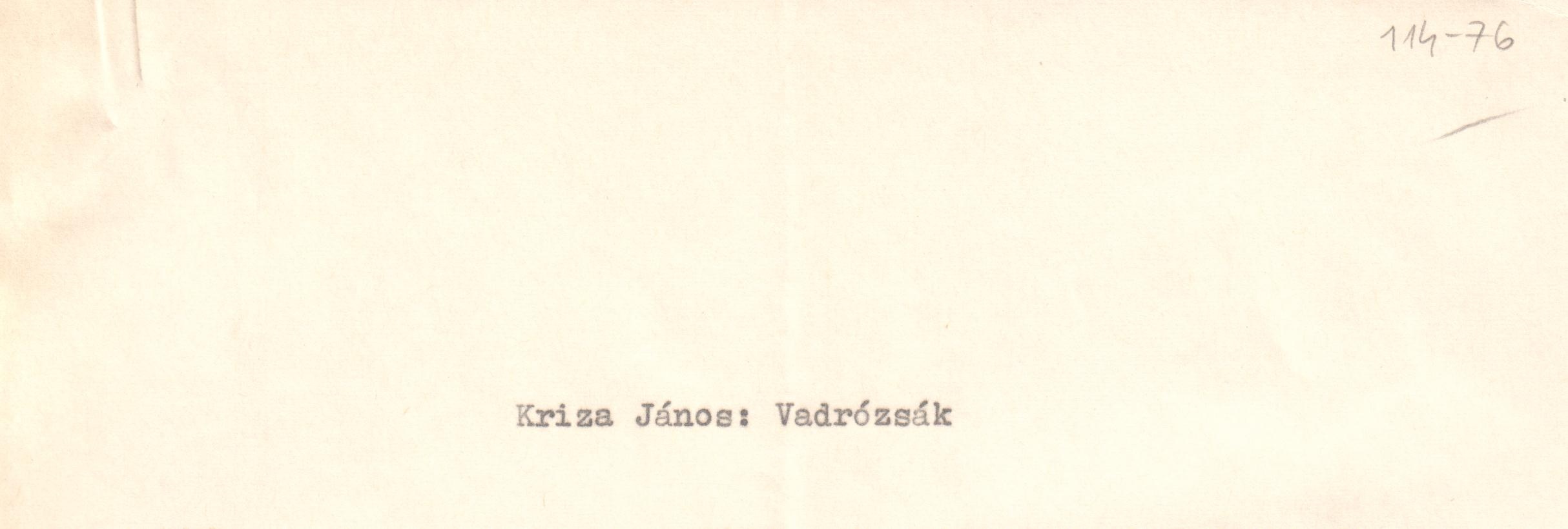 Kriza János: Vadrózsák c. könyvismertetés gépirata. (Viski Károly Múzeum Kalocsa RR-F)
