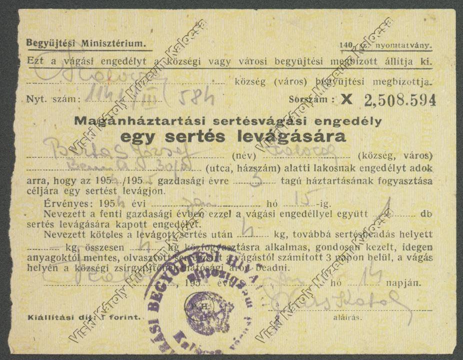 Engedély (Viski Károly Múzeum Kalocsa RR-F)