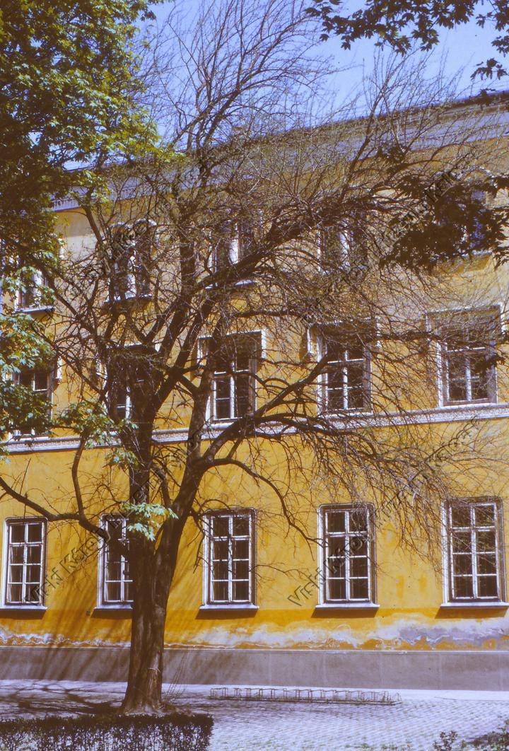 Színes diapozitív (Viski Károly Múzeum Kalocsa RR-F)