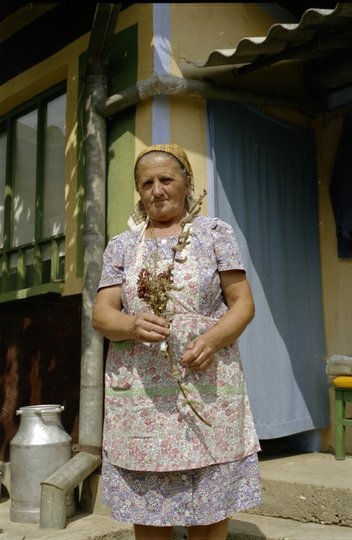 Idős asszony szentelt barkával (MTA BTK Néprajztudományi Intézet CC BY-NC-SA)