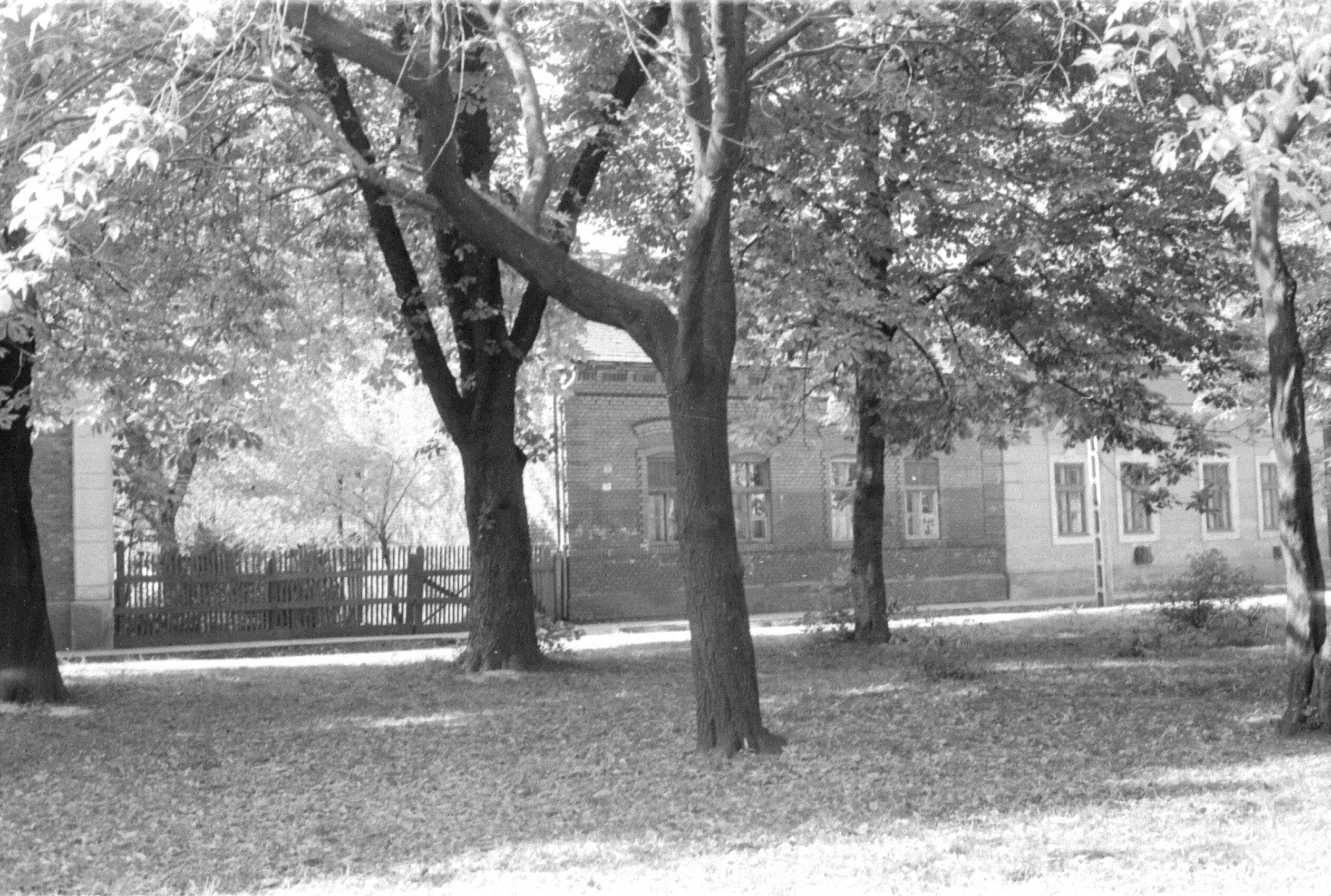 Lakóház 1910, Újdiósgyőr Soltész tér 5. (ma Dimitrov tér 3.) (MTA BTK Néprajztudományi Intézet CC BY-NC-SA)