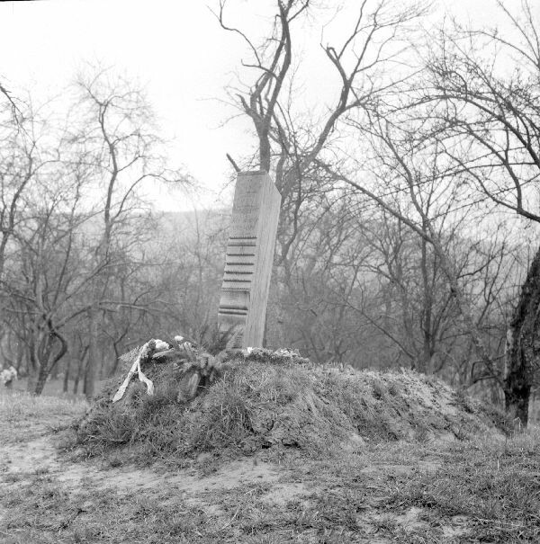Gombfa (fejfa) a temetőben (MTA BTK Néprajztudományi Intézet CC BY-NC-SA)