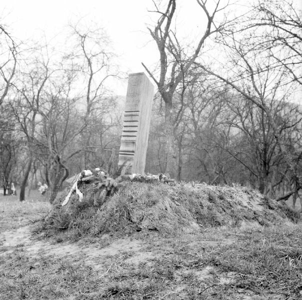Gombfa (fejfa) a temetőben (MTA BTK Néprajztudományi Intézet CC BY-NC-SA)