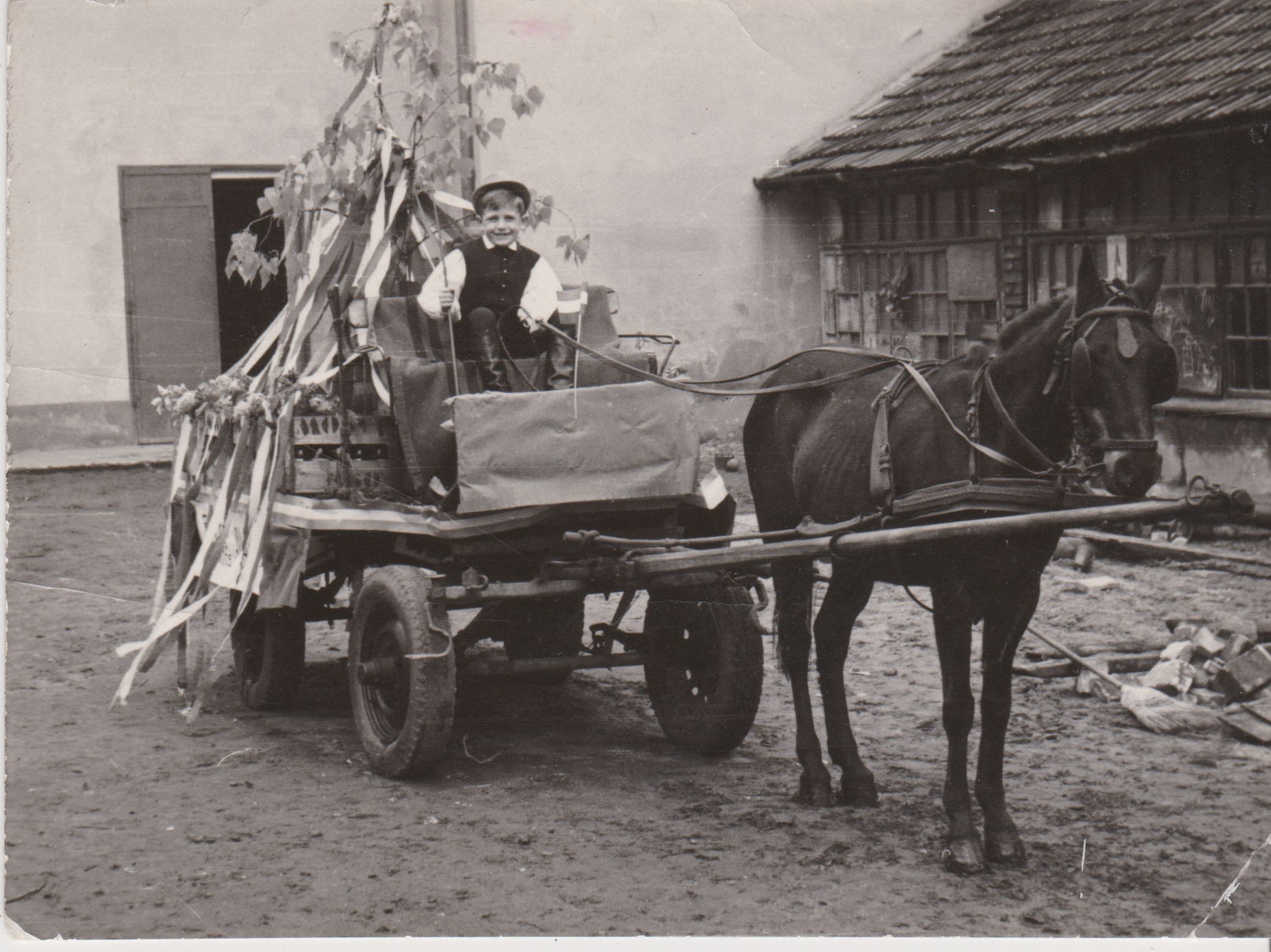 Sörszállító kocsi, bakján gyermekkel, májusfával (Dreher Sörmúzeum - Söripari Emléktár CC BY-NC-SA)