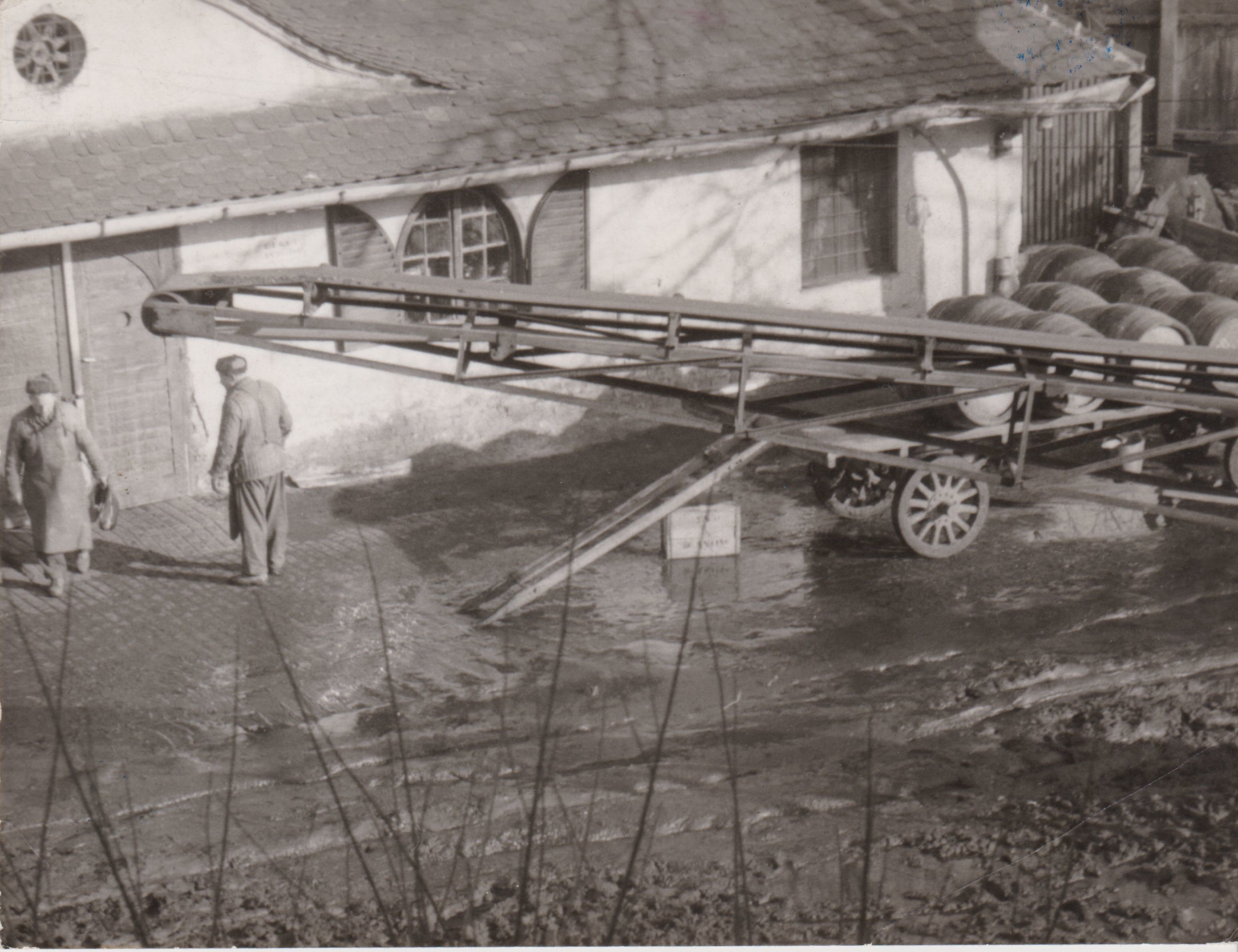 Munkások a Sörgyár területén, futószalagos gép mellett, hordókkal (Dreher Sörgyárak - Dreher Sörmúzeum Söripari Emléktár CC BY-NC-SA)