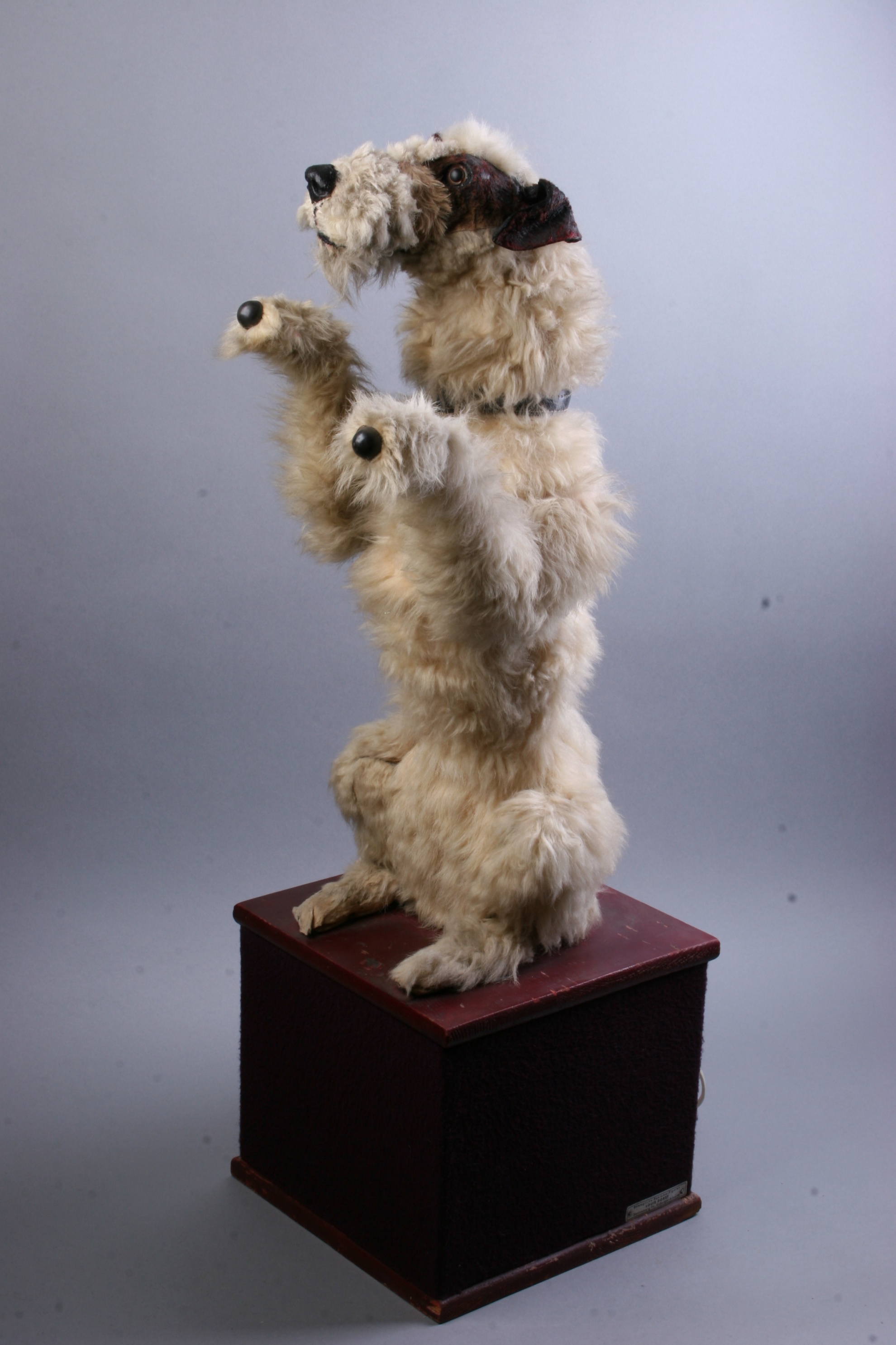 Kirakati mozgó reklámtárgy, kopogó kutya (Magyar Kereskedelmi és Vendéglátóipari Múzeum CC BY-NC-SA)