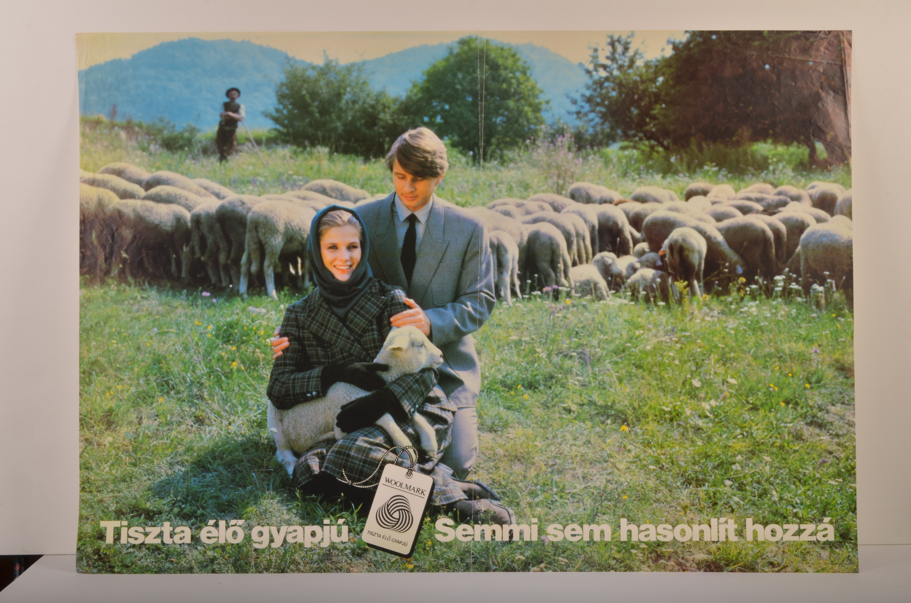 Woolmark gyapjú reklám (Magyar Kereskedelmi és Vendéglátóipari Múzeum CC BY-NC-SA)