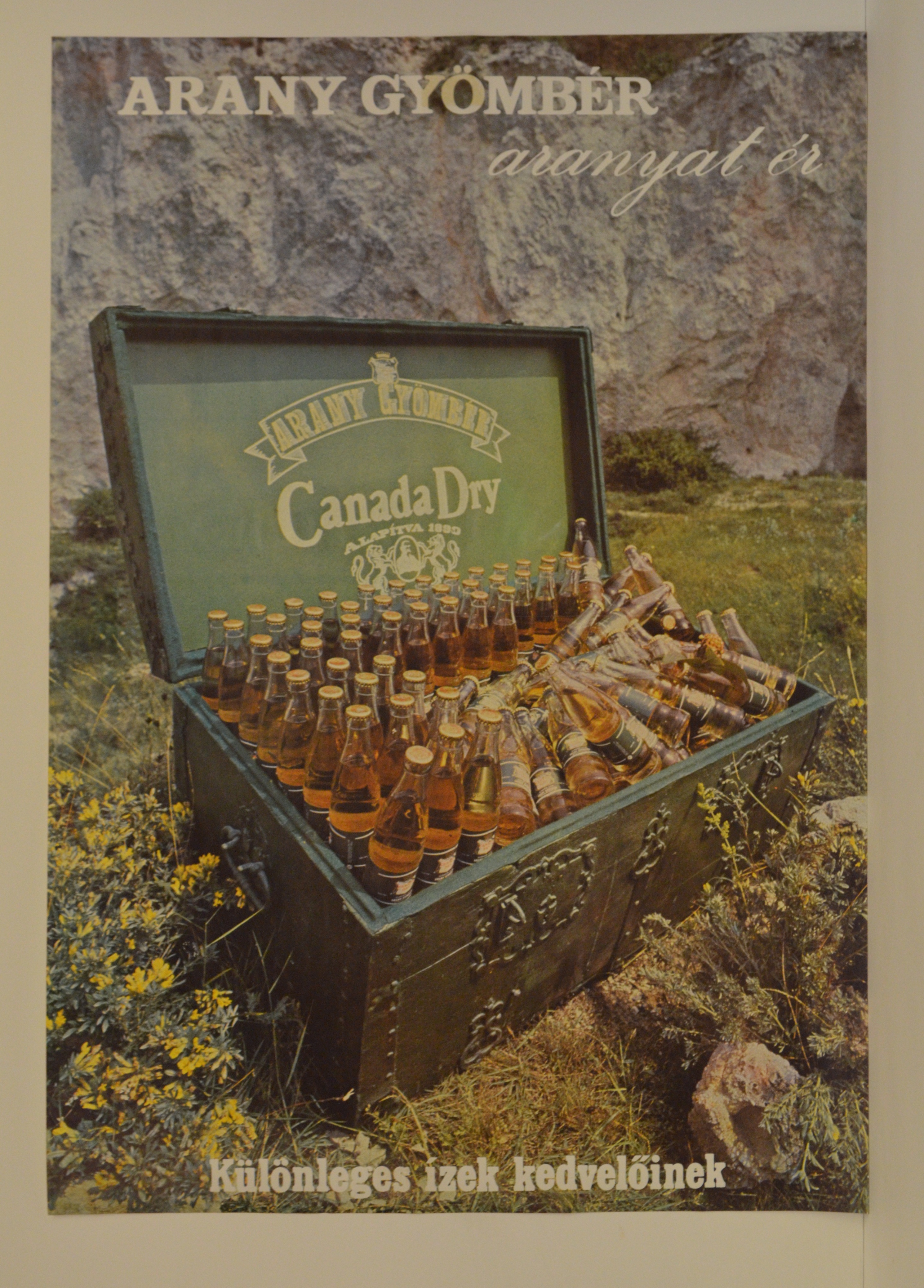 Canada Dry gyömbérízű ital reklámja (Magyar Kereskedelmi és Vendéglátóipari Múzeum CC BY-NC-SA)
