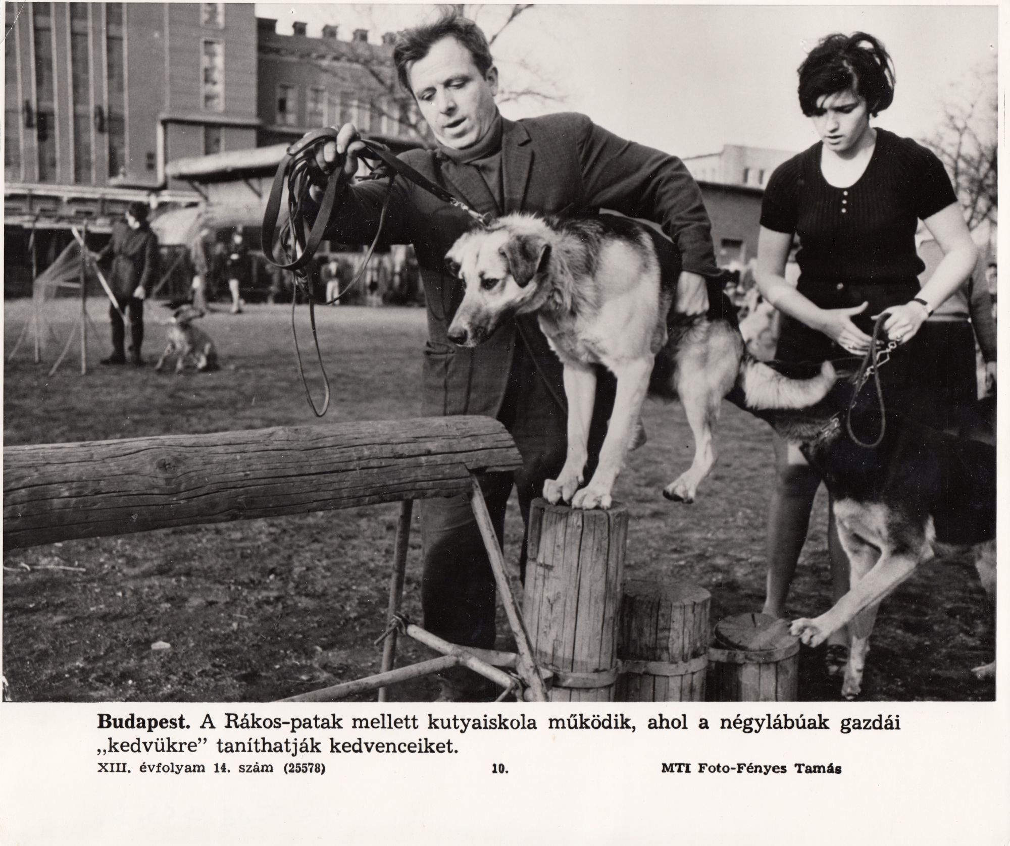 Fekete-fehér fénykép, Rákos - patak meletti kutyaiskola (Angyalföldi Helytörténeti Gyűjtemény CC BY-NC-SA)