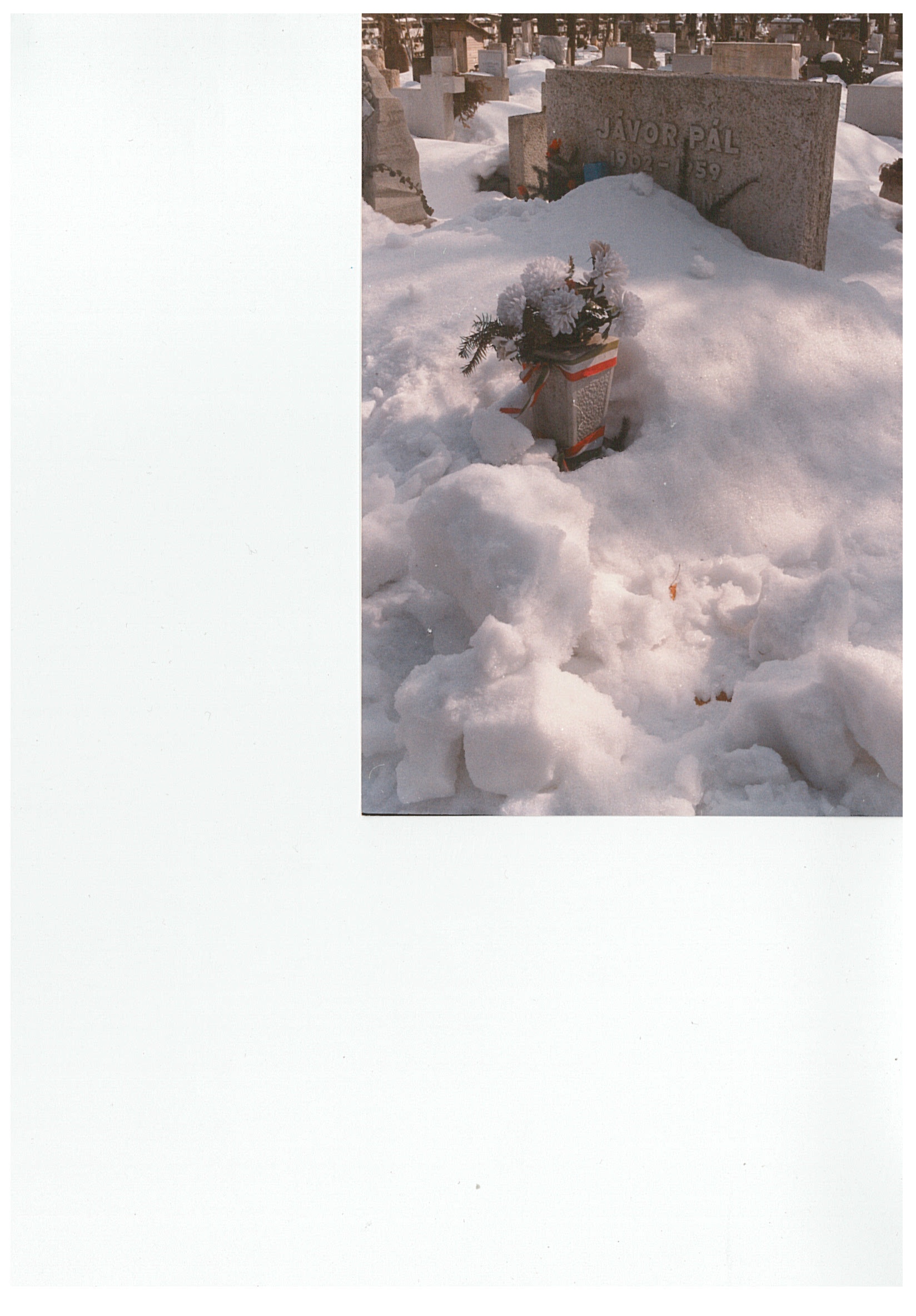 Temetői képek: Jávor Pál sírja, hóval borítva (Nemzeti Örökség Intézete – Kegyeleti Múzeum CC BY-NC-SA)