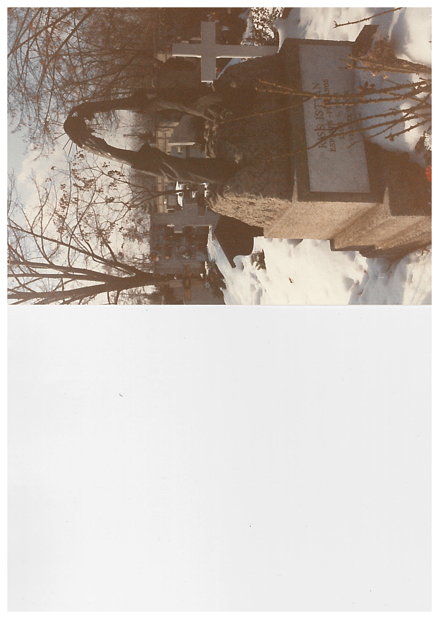 Temetői képek:  Kiss István sírja (2) (Nemzeti Örökség Intézete – Kegyeleti Múzeum CC BY-NC-SA)