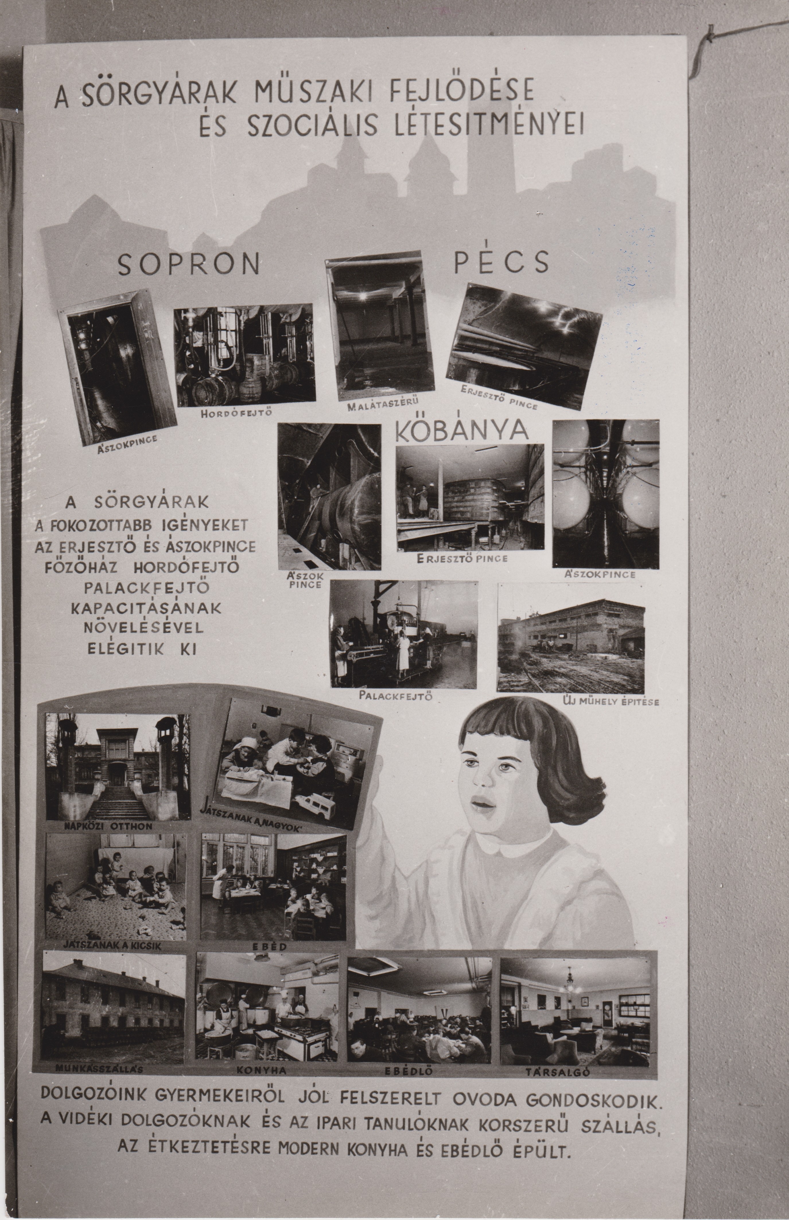 Fénykép - Az élelmiszeripar fejlődése az államosítás óta kiállítás tablója, 1955 (Dreher Sörgyárak - Dreher Sörmúzeum CC BY-NC-SA)