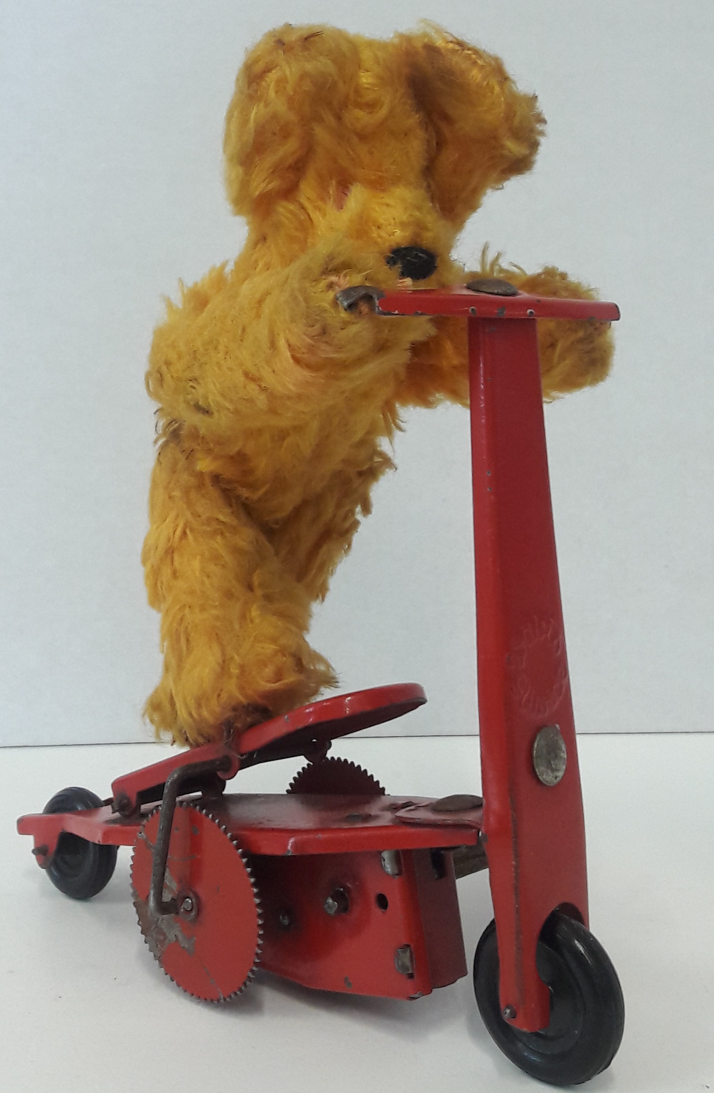 rollerező kutya (Tomory Lajos Múzeum CC BY-NC-SA)