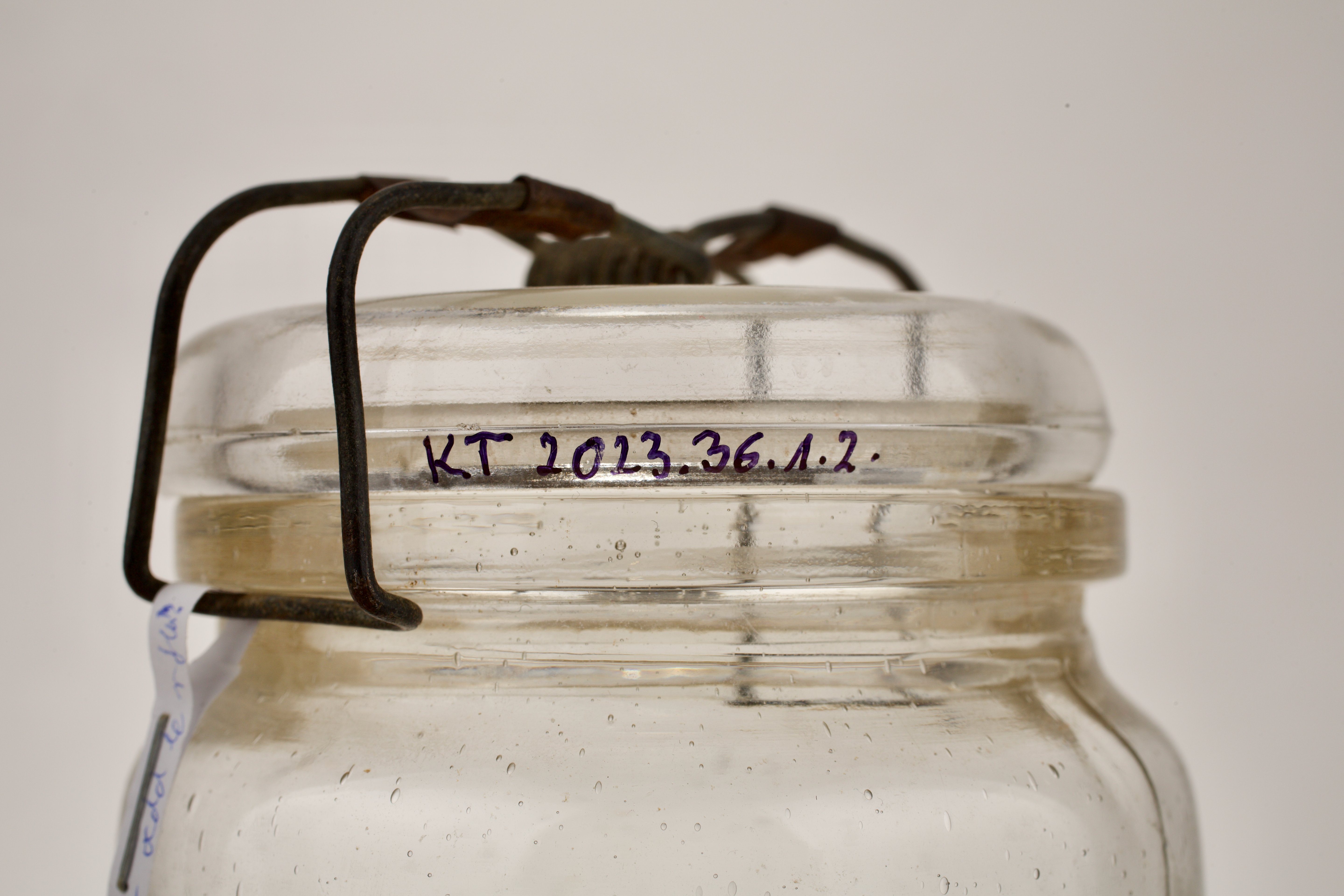 befőttes üveg teteje (Magyar Kereskedelmi és Vendéglátóipari Múzeum CC BY-NC-SA)