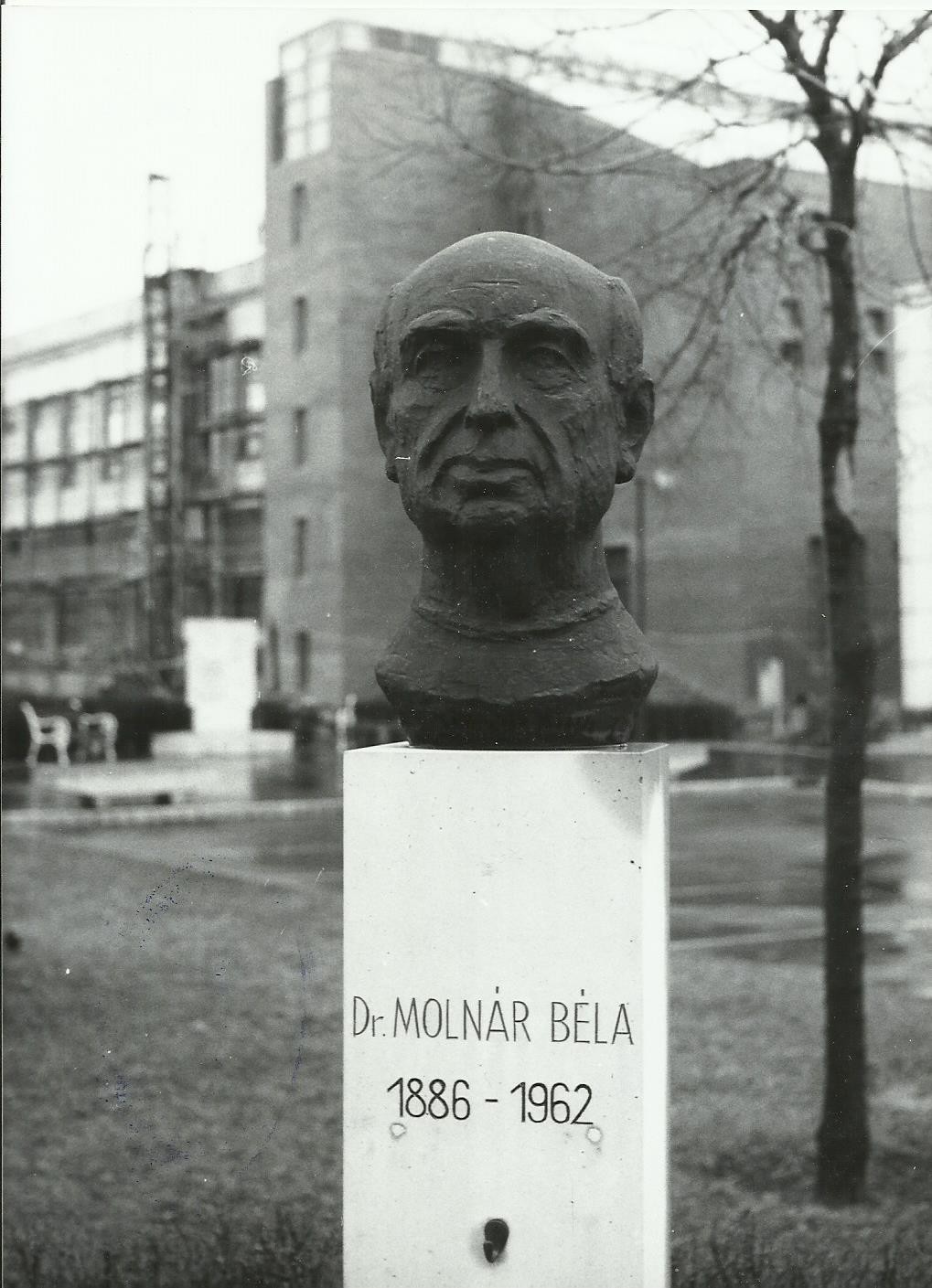 Dr. Molnár Béla (Angyalföldi Helytörténeti Gyűjtemény CC BY-NC-SA)