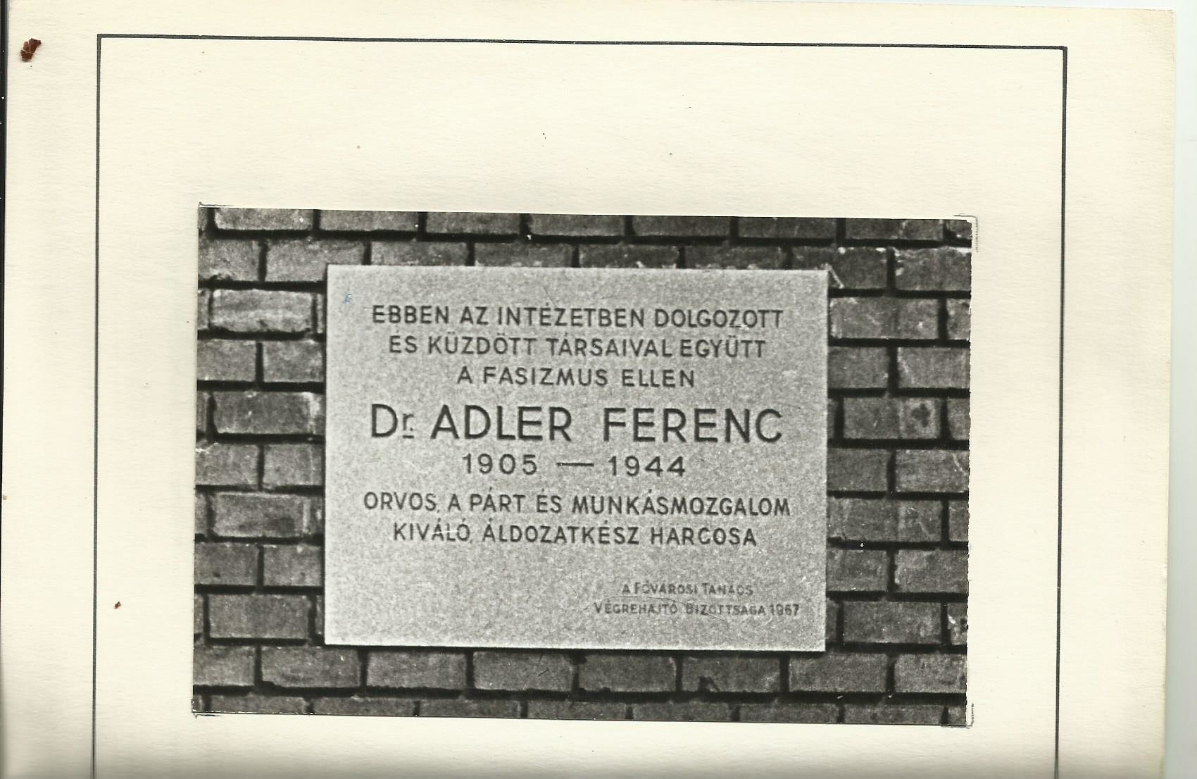 Dr. Adler Ferenc emléktábla (Angyalföldi Helytörténeti Gyűjtemény CC BY-NC-SA)