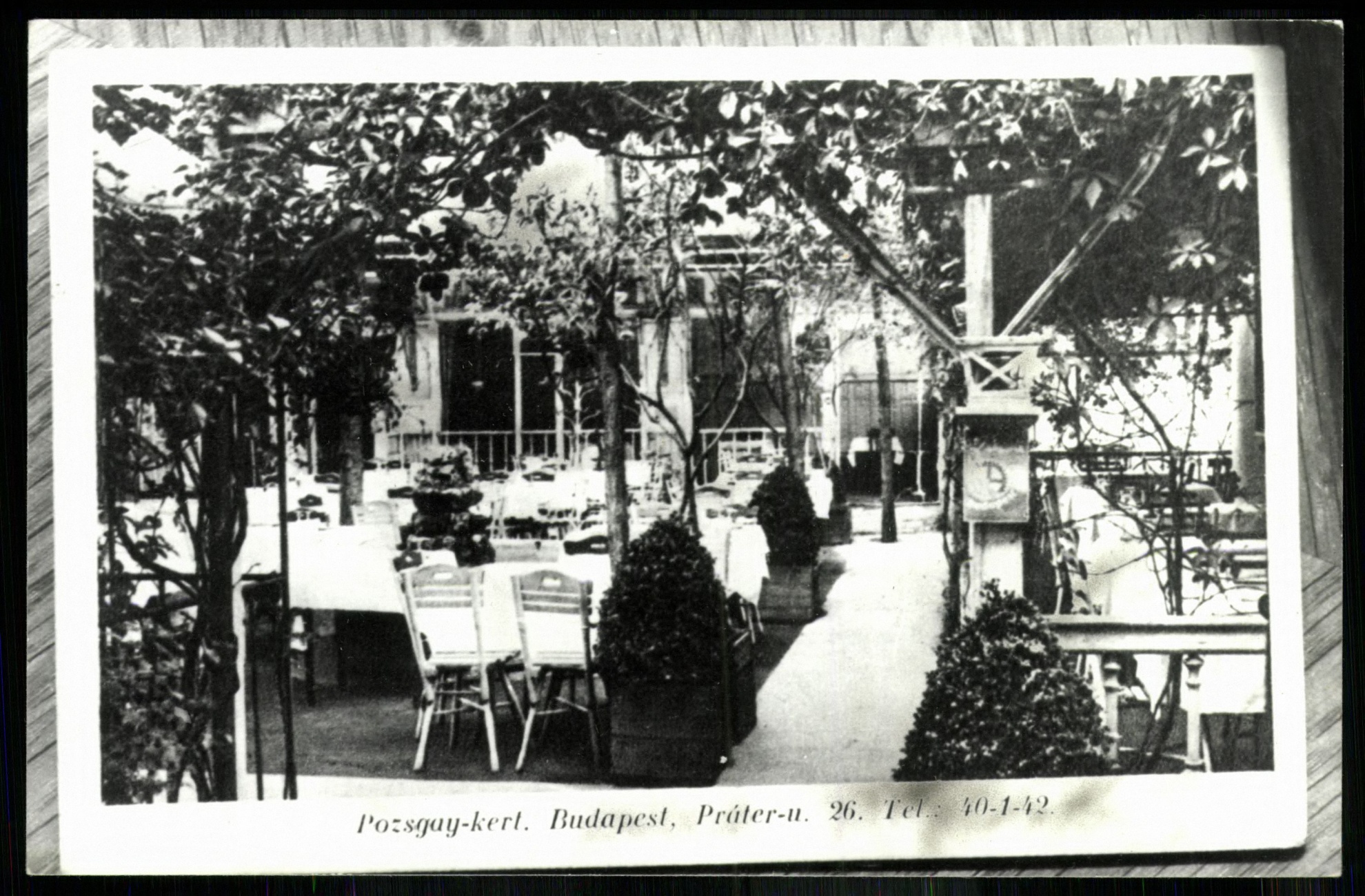 Pozsgay kert vendéglő. Budapest, Práter utca 26. Tel.: 40-1-42 (Magyar Kereskedelmi és Vendéglátóipari Múzeum CC BY-NC-ND)