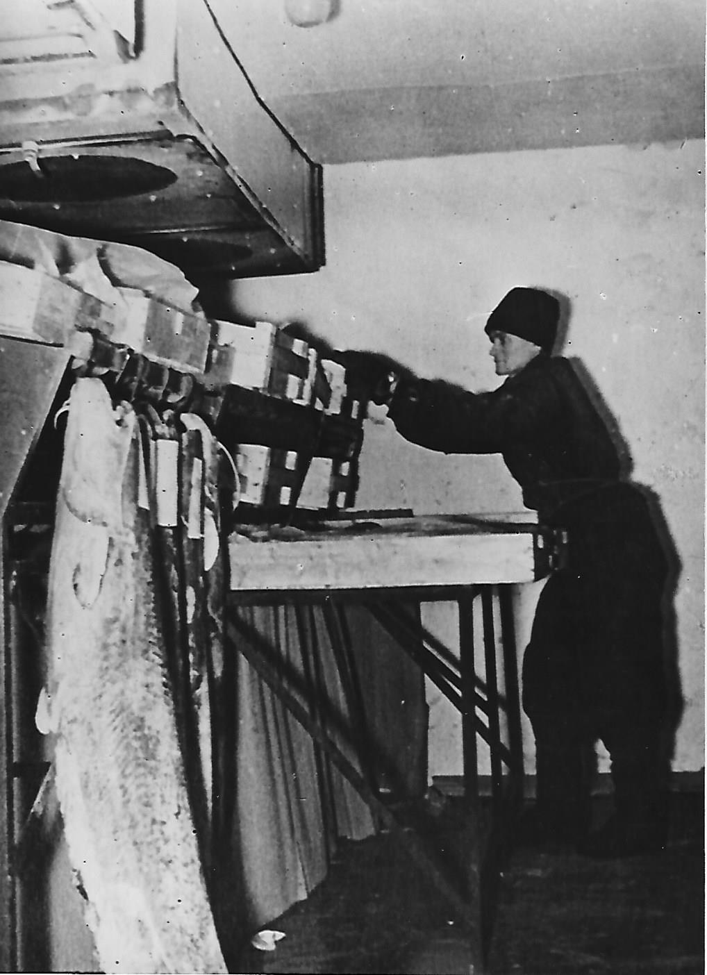 Halértékesítő Vállalat hűtőkamrája Budapest 1956. (Magyar Kereskedelmi és Vendéglátóipari Múzeum CC BY-NC-ND)