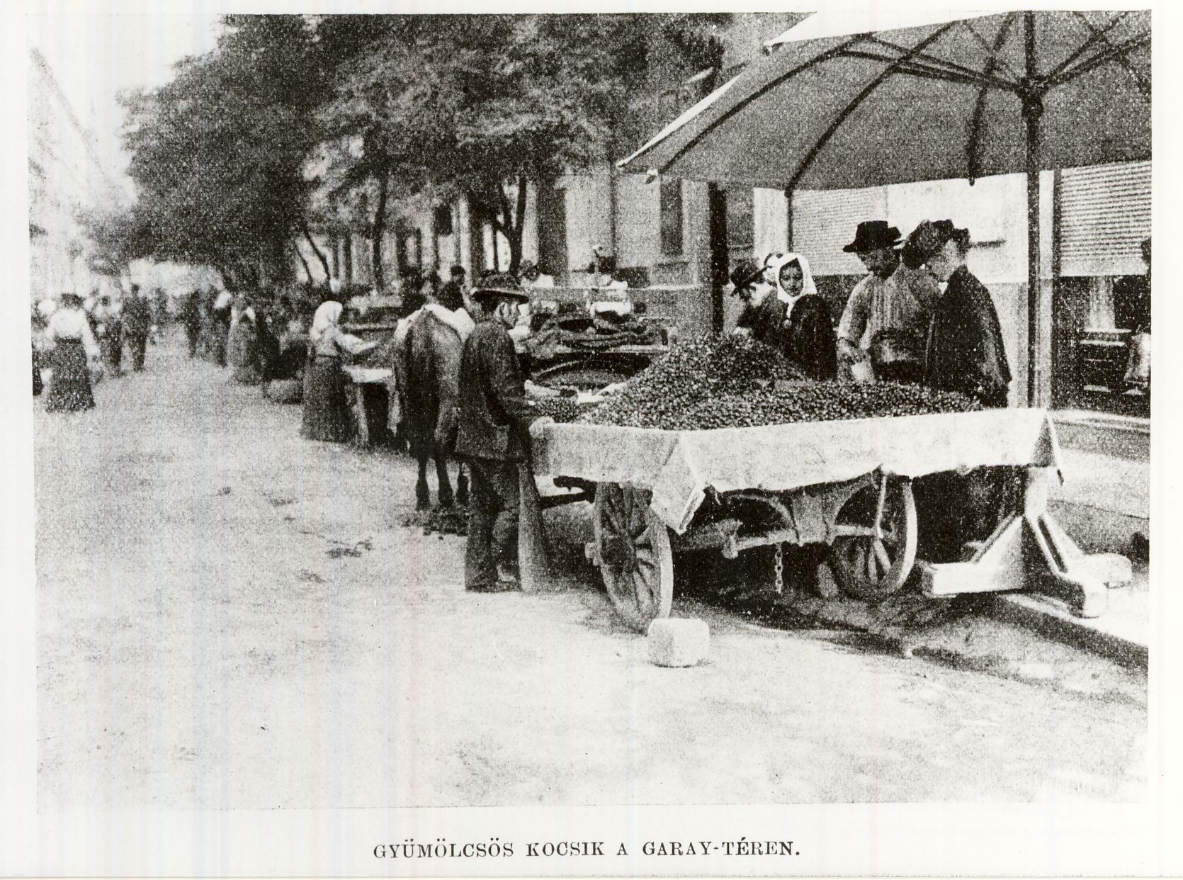 Piac a Garay téren Budapest 1906. (Magyar Kereskedelmi és Vendéglátóipari Múzeum CC BY-NC-ND)