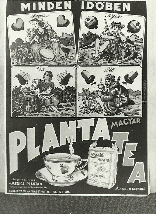 Planta, Magyar Tea (Magyar Kereskedelmi és Vendéglátóipari Múzeum CC BY-NC-ND)