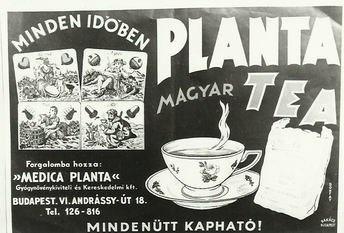PLANTA Magyar Tea (Magyar Kereskedelmi és Vendéglátóipari Múzeum CC BY-NC-ND)