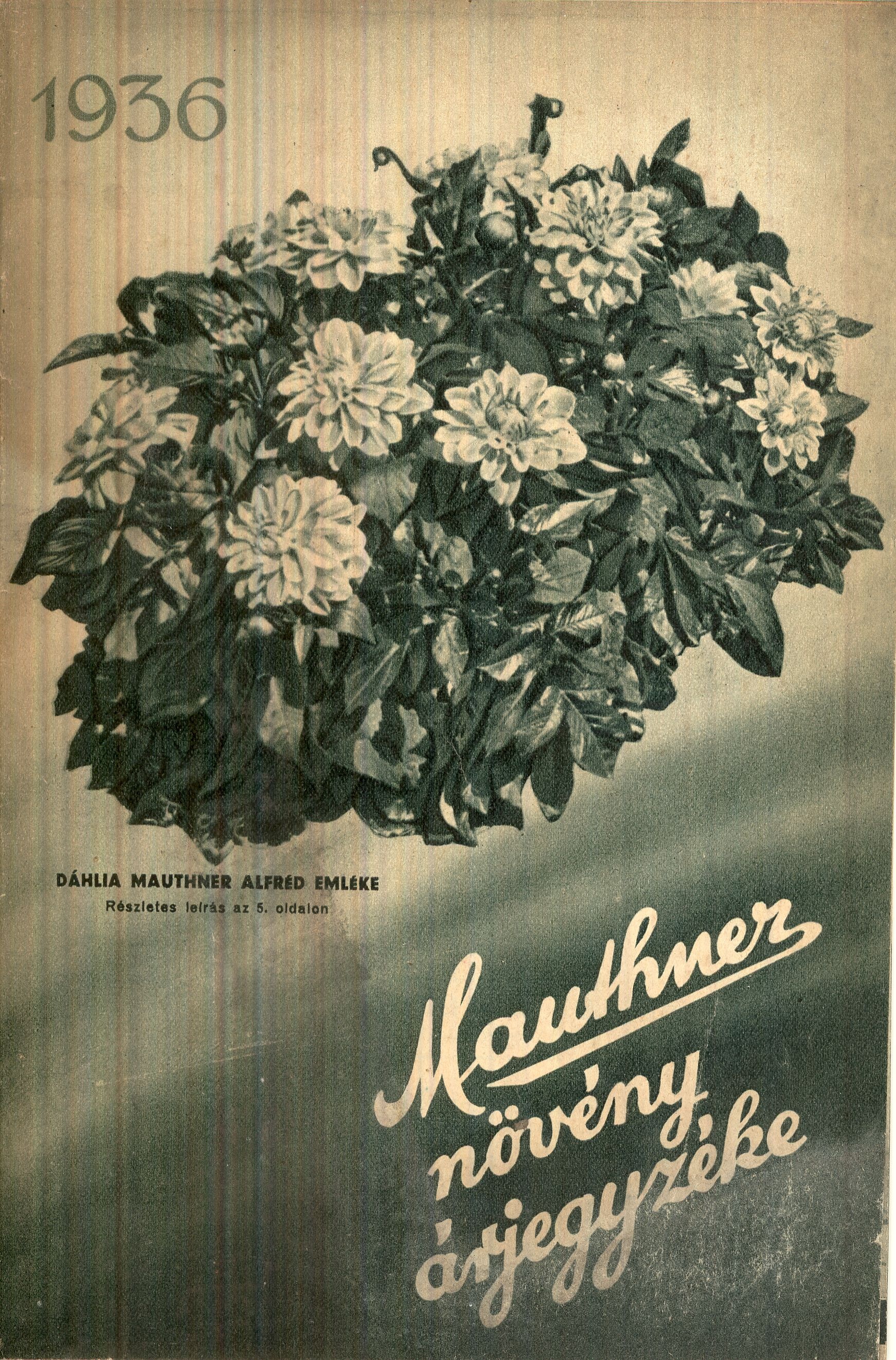 Mauthner növény árjegyzéke (Magyar Kereskedelmi és Vendéglátóipari Múzeum CC BY-NC-SA)
