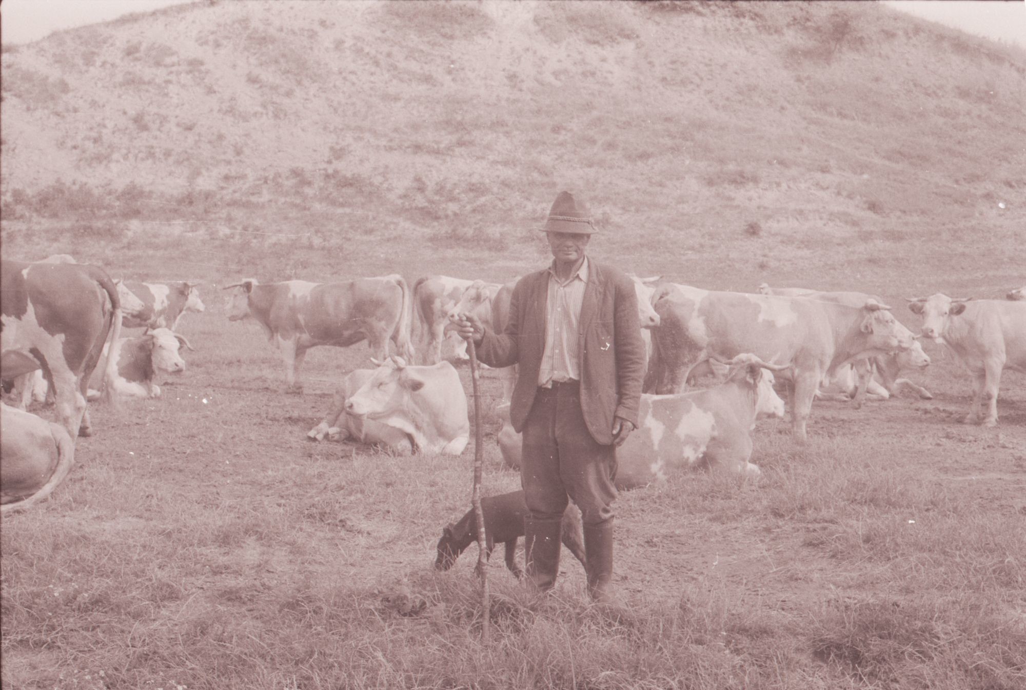 Szögedi Barna pásztor (Herman Ottó Múzeum CC BY-NC-SA)