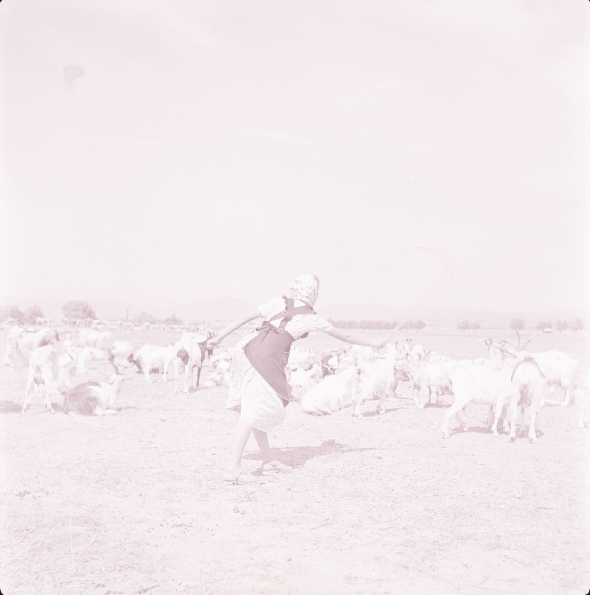 Pásztorkodás, kecskepásztor lány (Herman Ottó Múzeum, Miskolc CC BY-NC-SA)