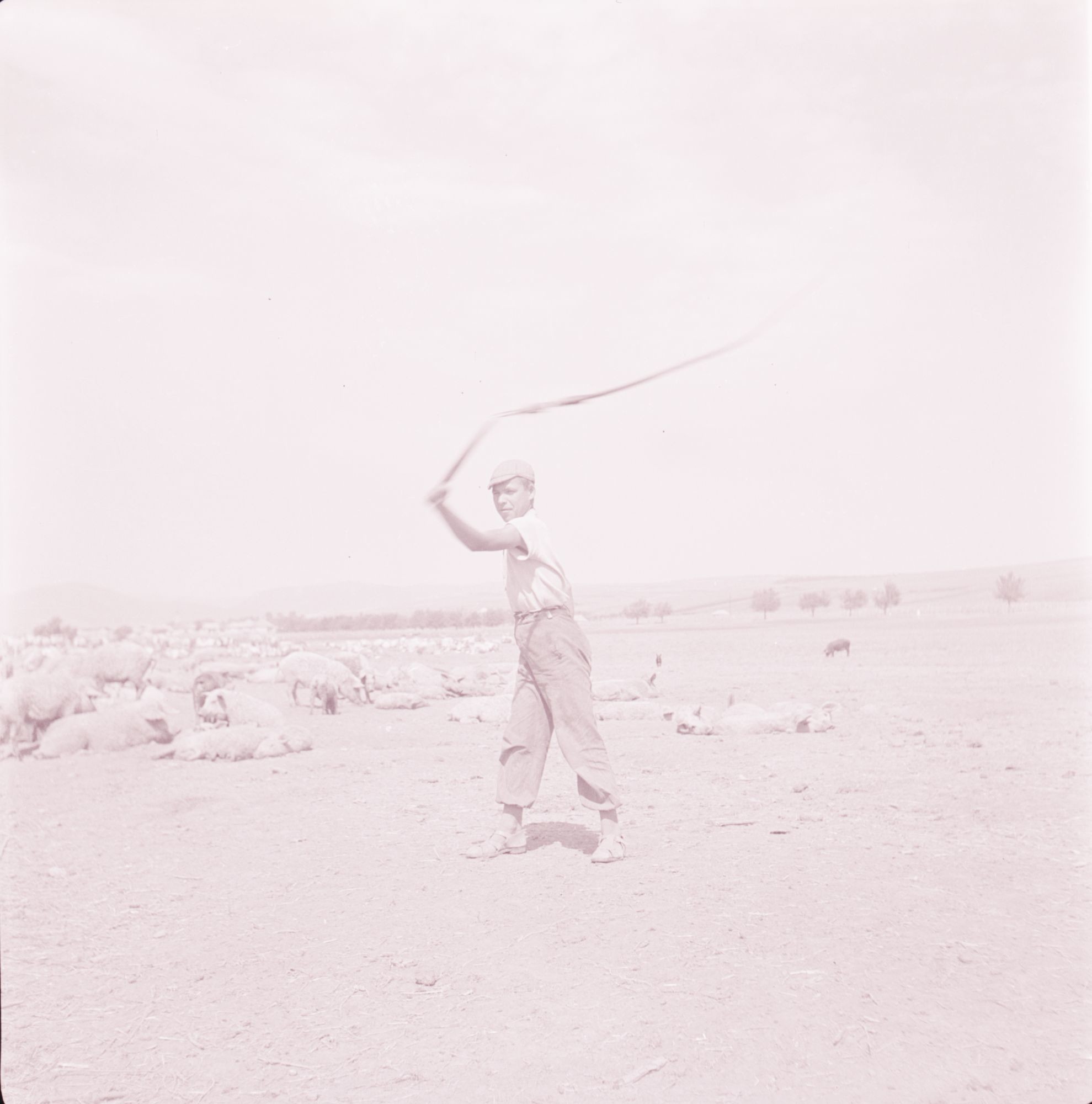 Pásztorkodás, kondás fiú (Herman Ottó Múzeum, Miskolc CC BY-NC-SA)