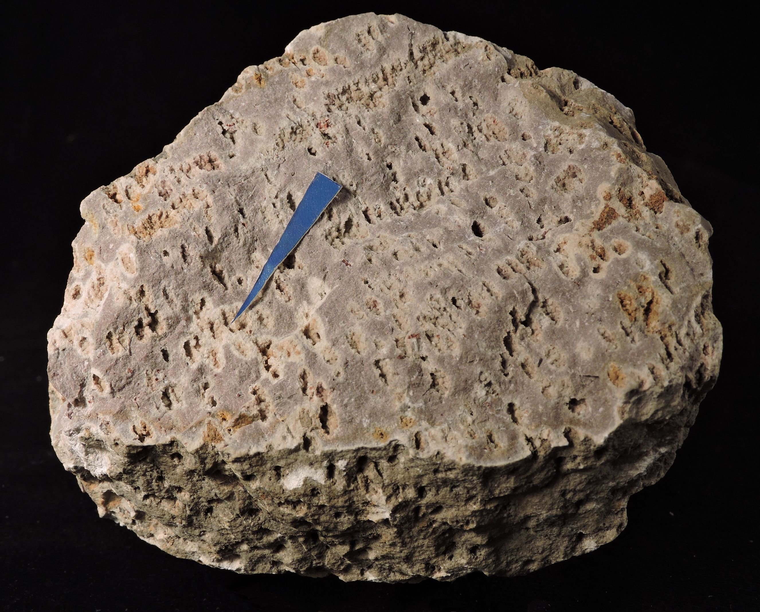 Tridimit (Herman Ottó Múzeum CC BY-NC-SA)