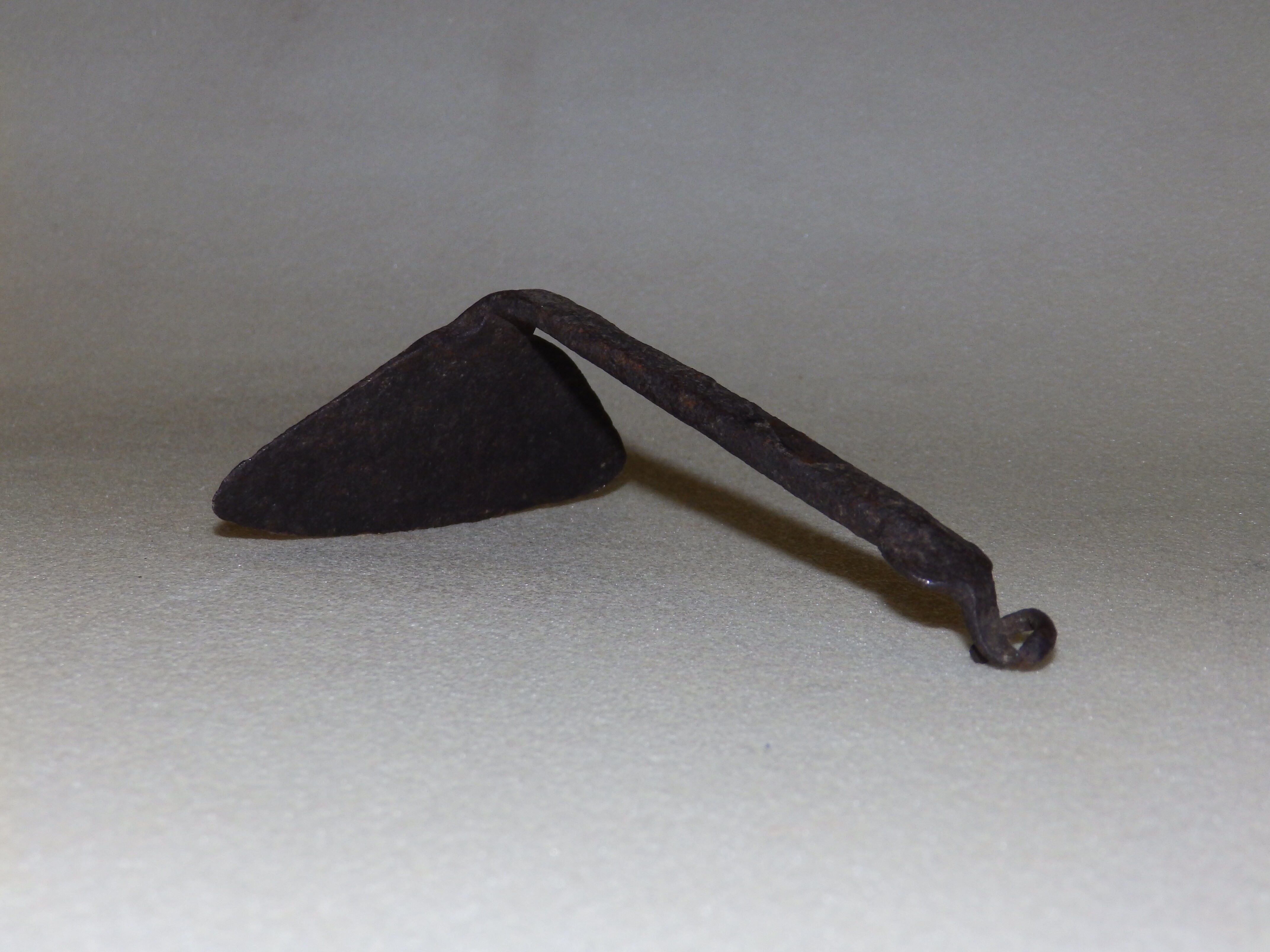 Teknőkaparó (Herman Ottó Múzeum CC BY-NC-SA)