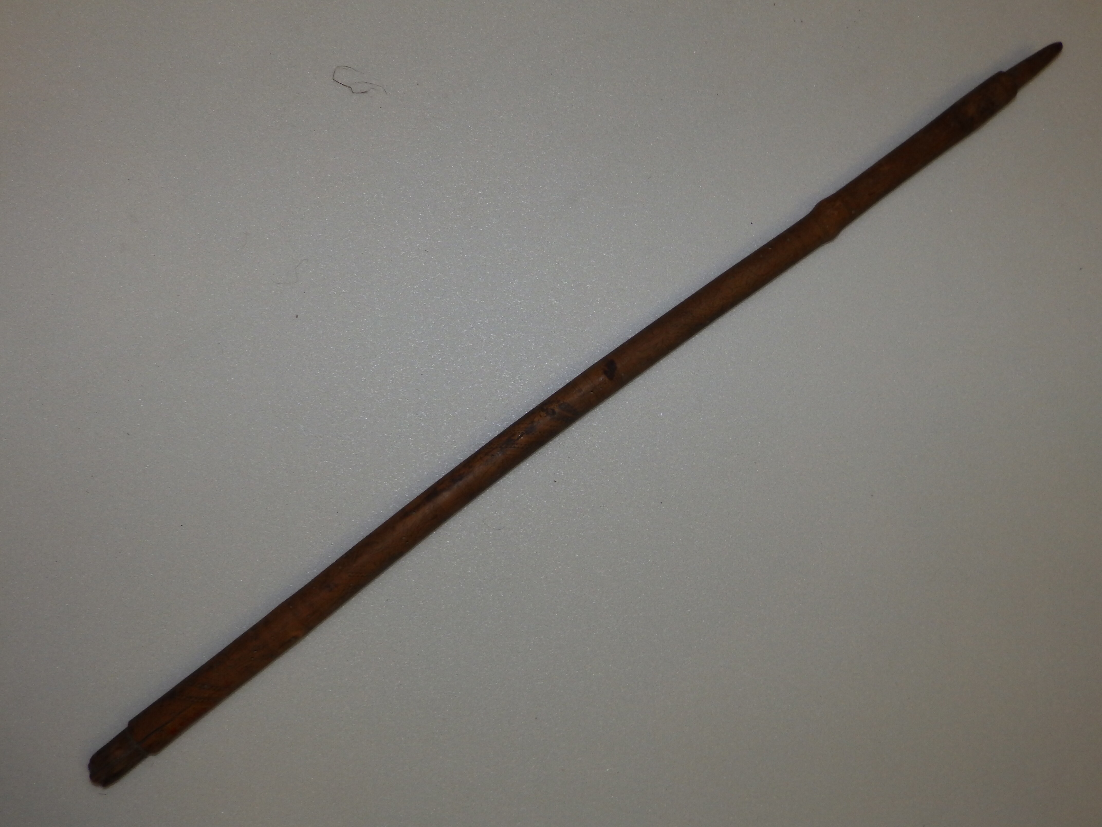 Guzsaly szára (Herman Ottó Múzeum CC BY-NC-SA)