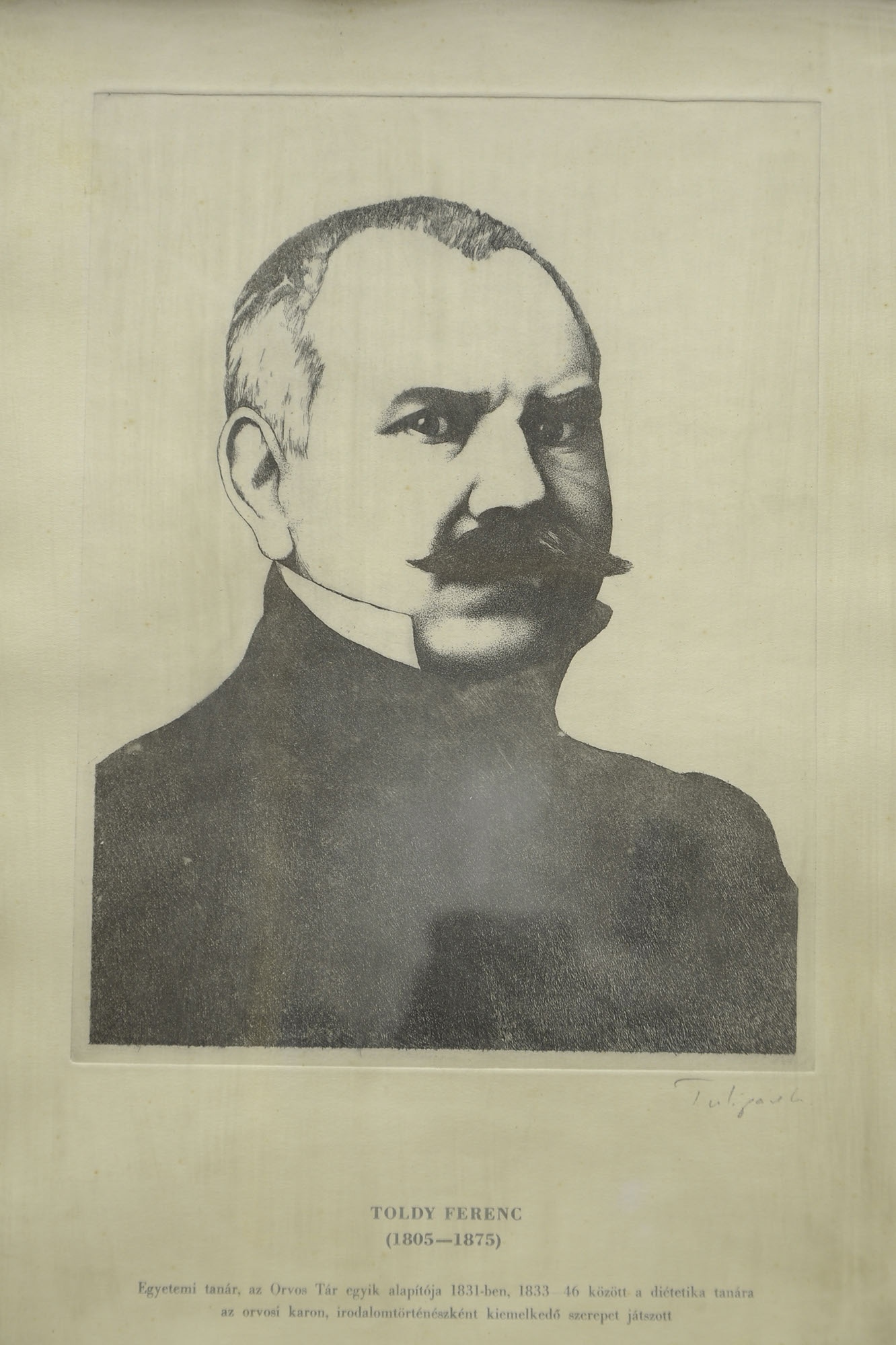 Tulipán László (1943-2007): Toldy Ferenc (1805-1875) (Herman Ottó Múzeum, Miskolc CC BY-NC-SA)