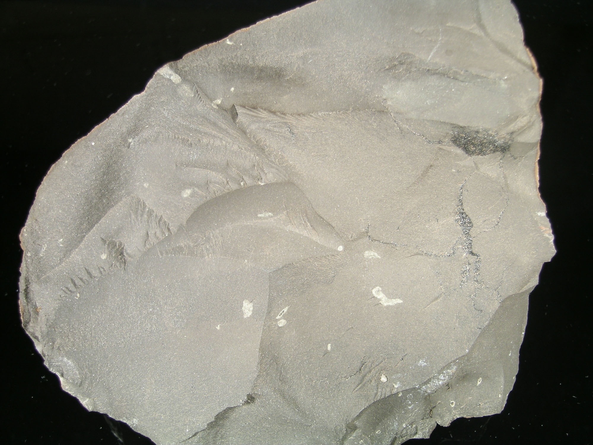 Sziderit, kvarc, kalcit (Herman Ottó Múzeum, Miskolc CC BY-NC-SA)